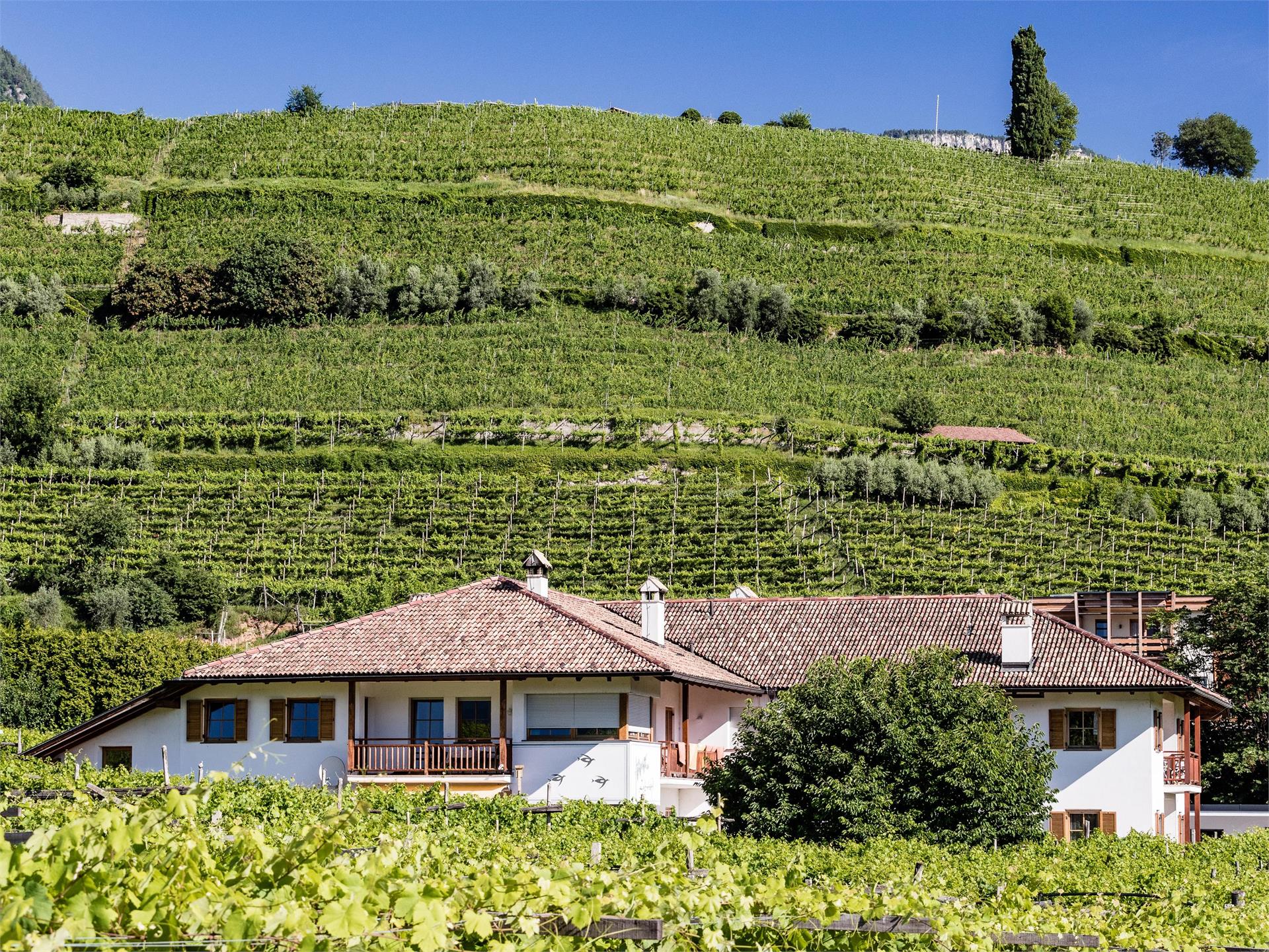 Lahnhöfl Kaltern an der Weinstraße/Caldaro sulla Strada del Vino 1 suedtirol.info