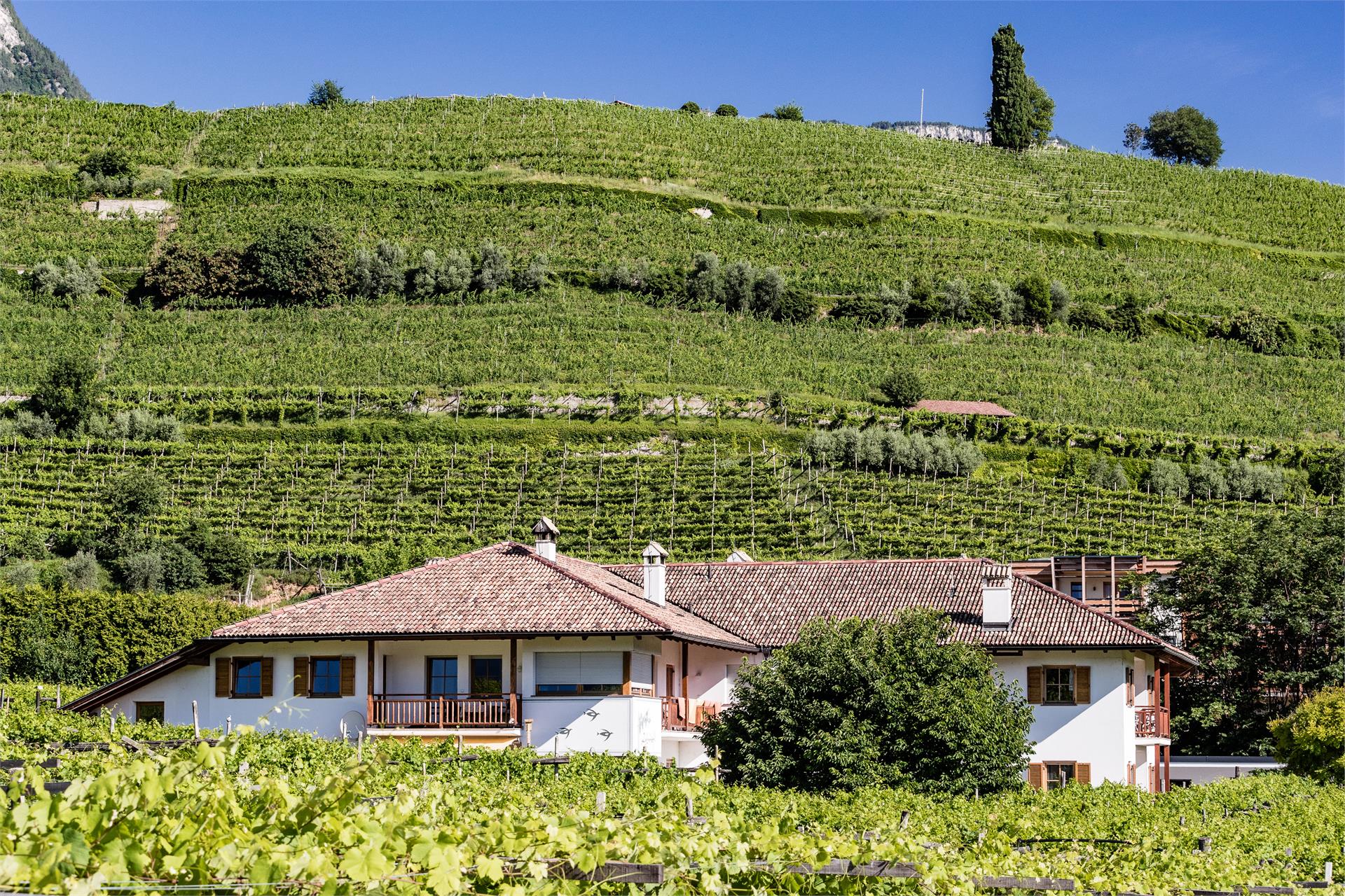 Lahnhöfl Kaltern an der Weinstraße/Caldaro sulla Strada del Vino 19 suedtirol.info