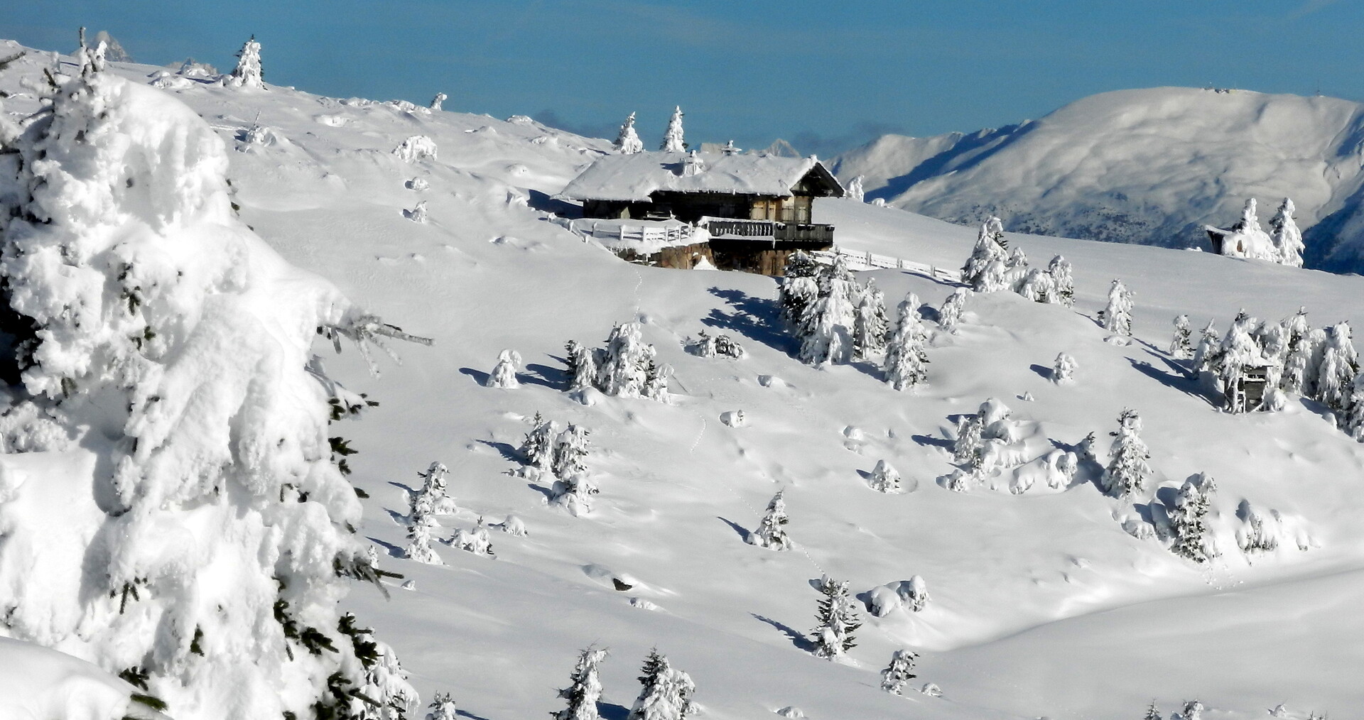 winter