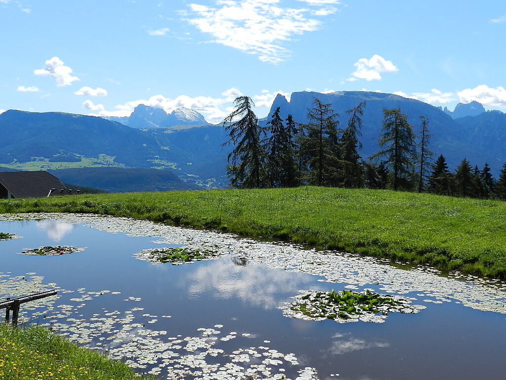 Holiday on the Ritten
