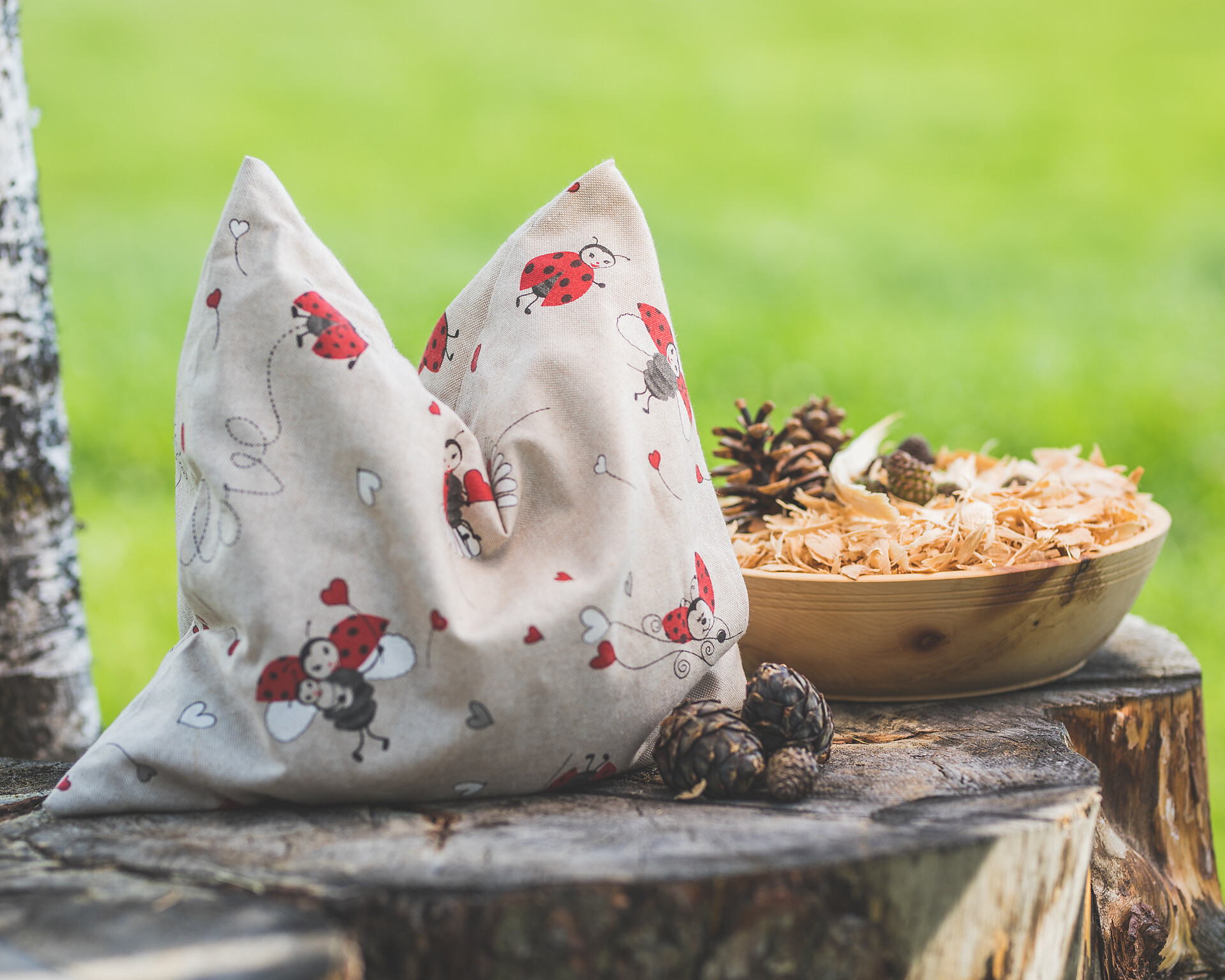 Products from the healthy stone pine