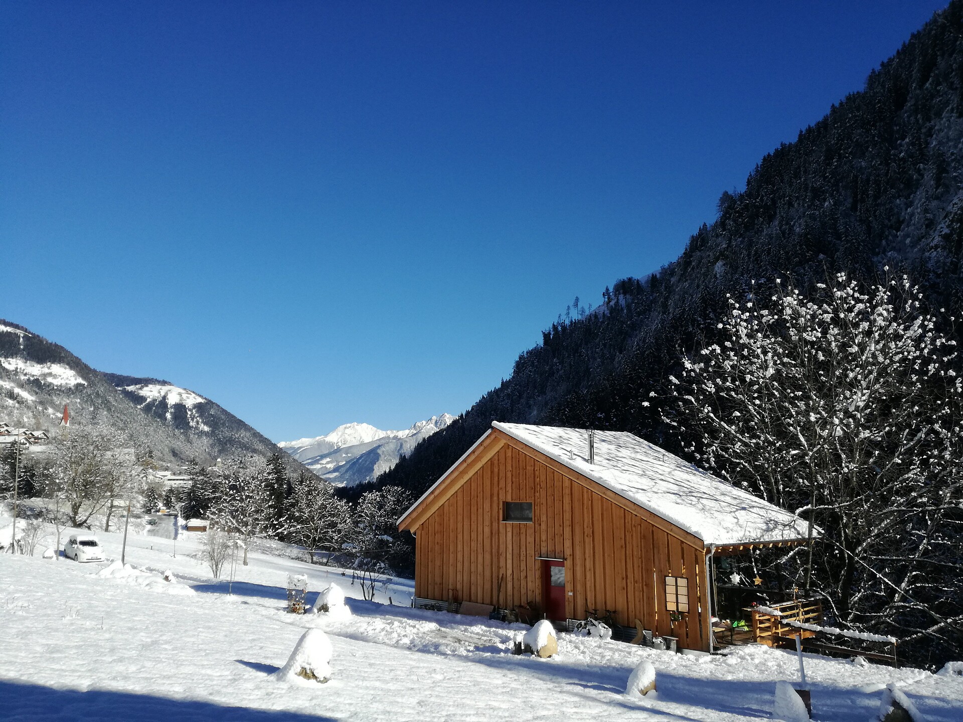 Winter