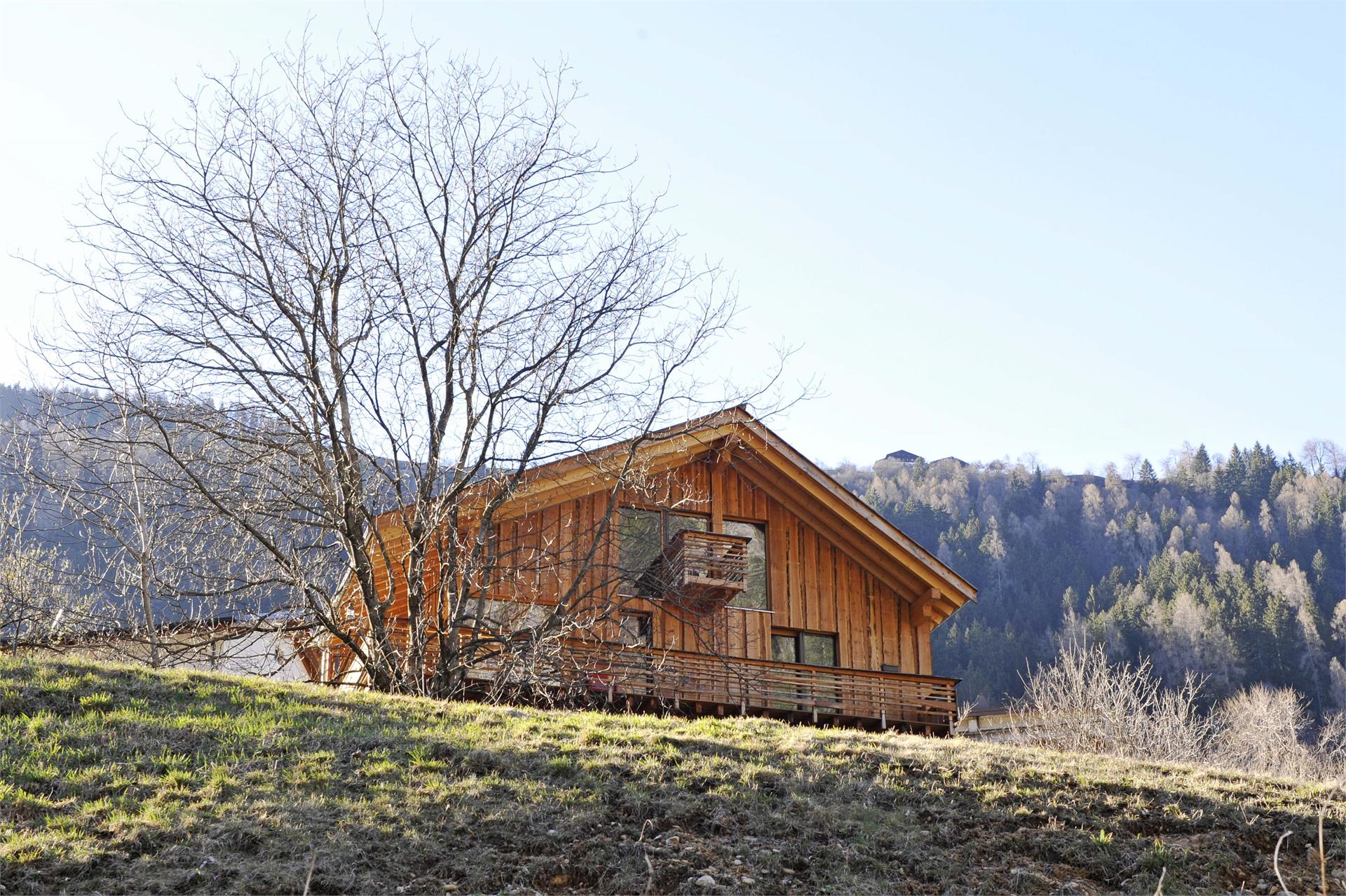 Laugen Lodge St.Pankraz/San Pancrazio 12 suedtirol.info