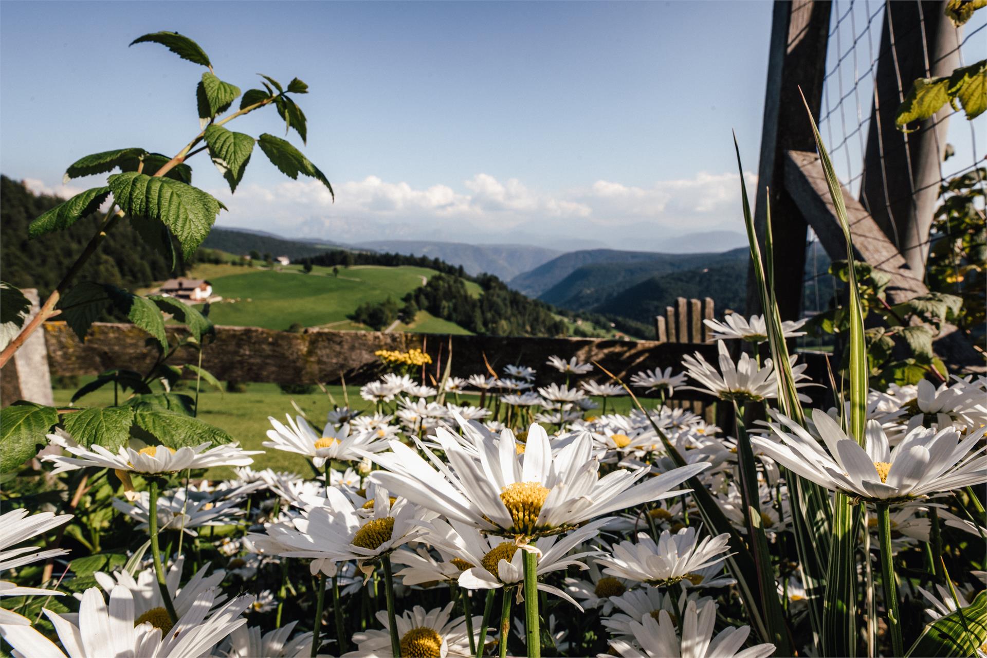 Leitnerhof Jenesien 29 suedtirol.info