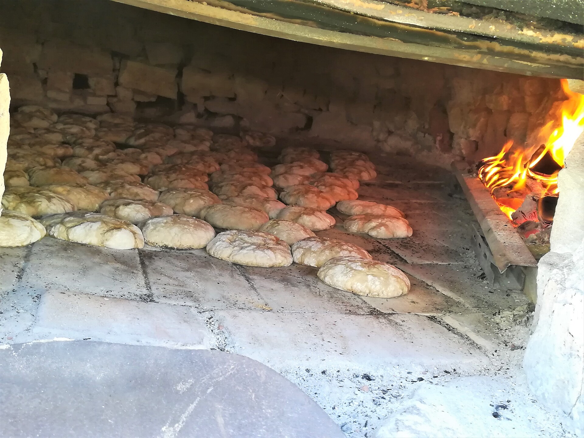 bread