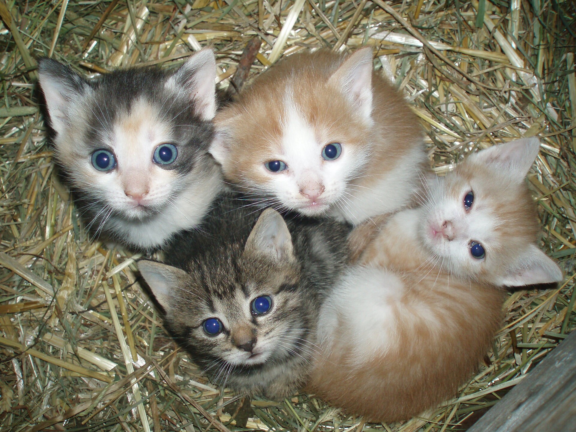 friends