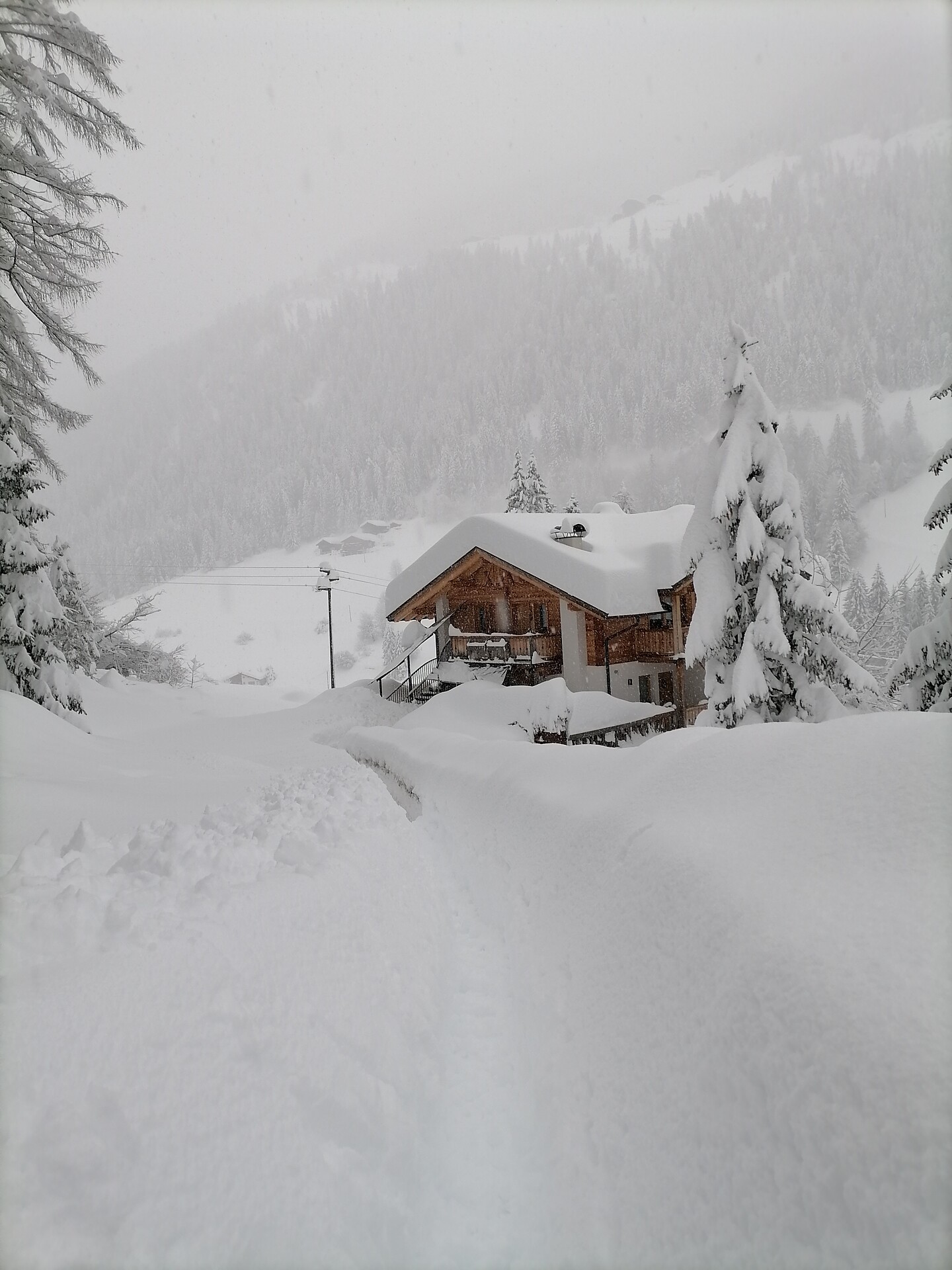 Winter 2020