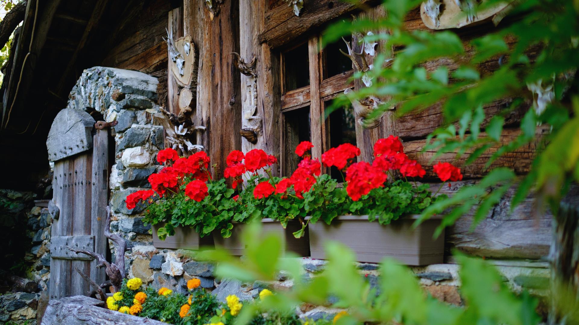 Landhotel Latscherhof Latsch/Laces 23 suedtirol.info