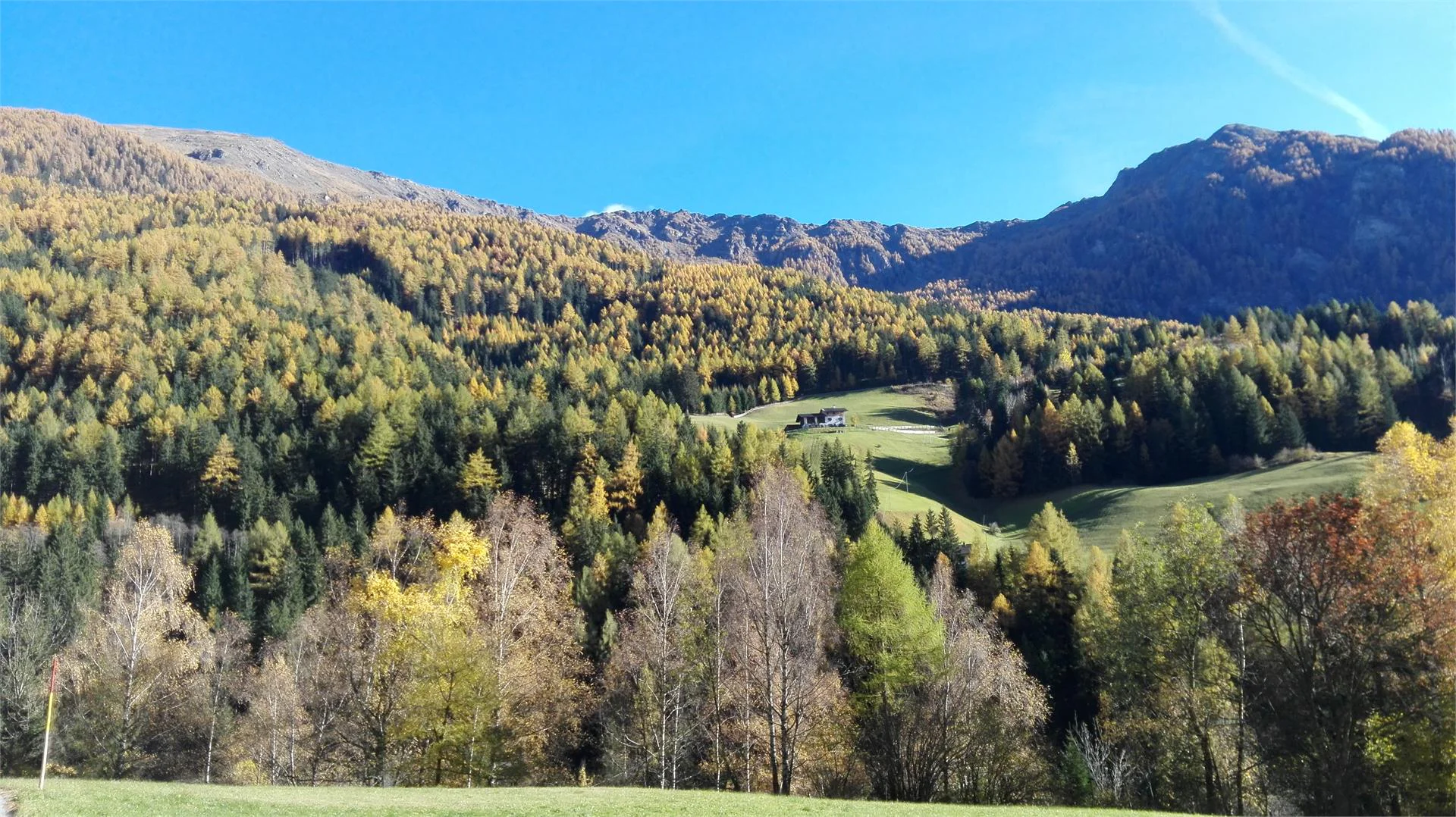 Leitnerhof Val di Vizze 13 suedtirol.info