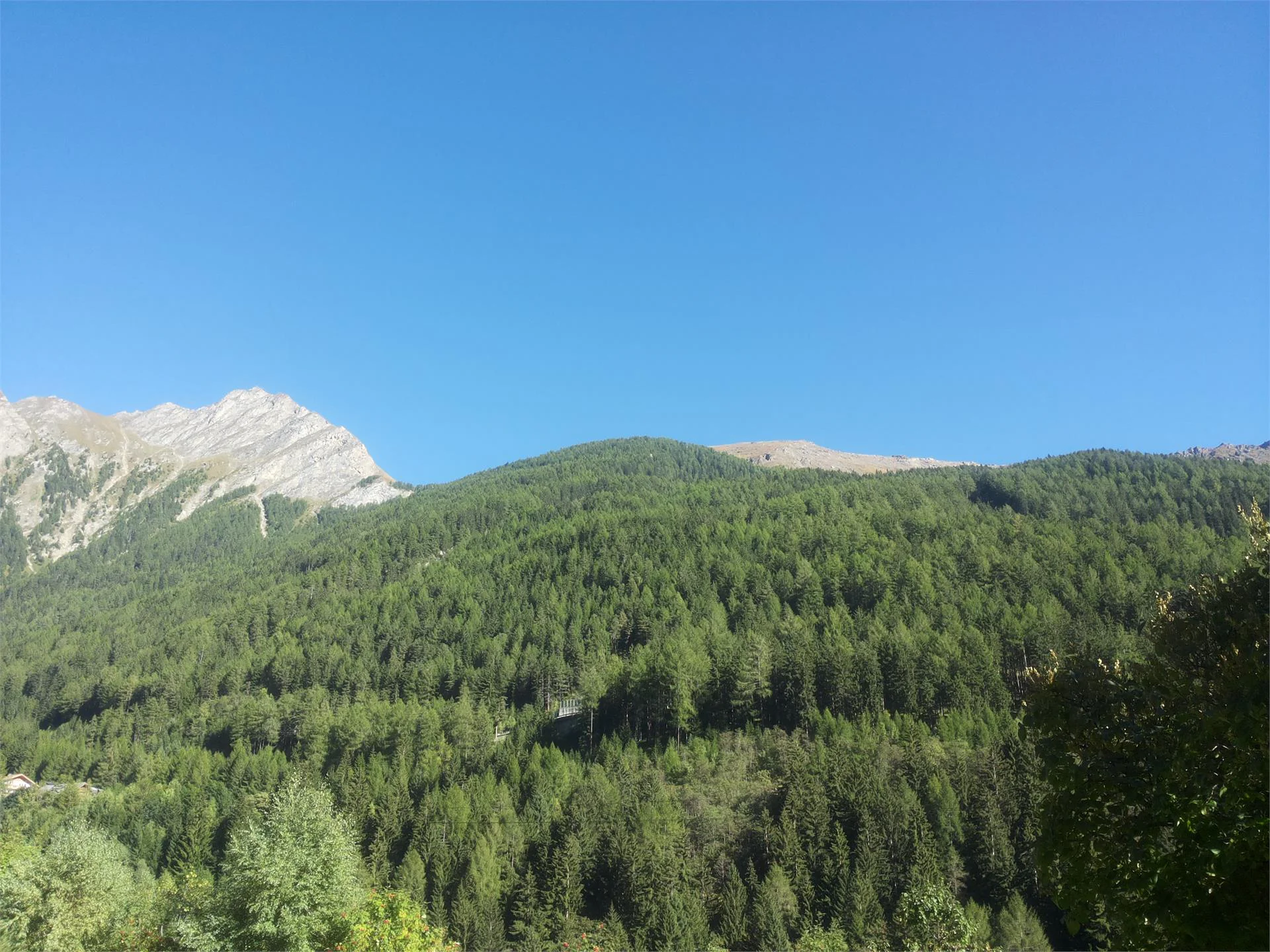 Leitnerhof Val di Vizze 14 suedtirol.info