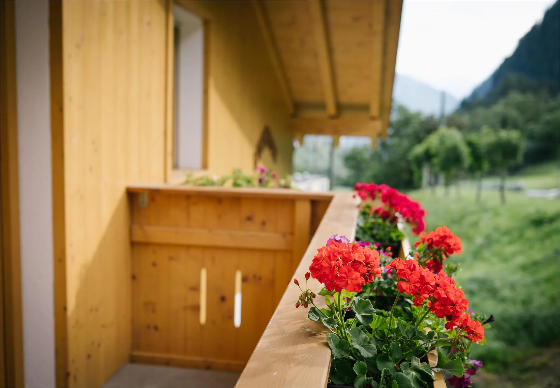 Leitnerhof Val di Vizze 11 suedtirol.info