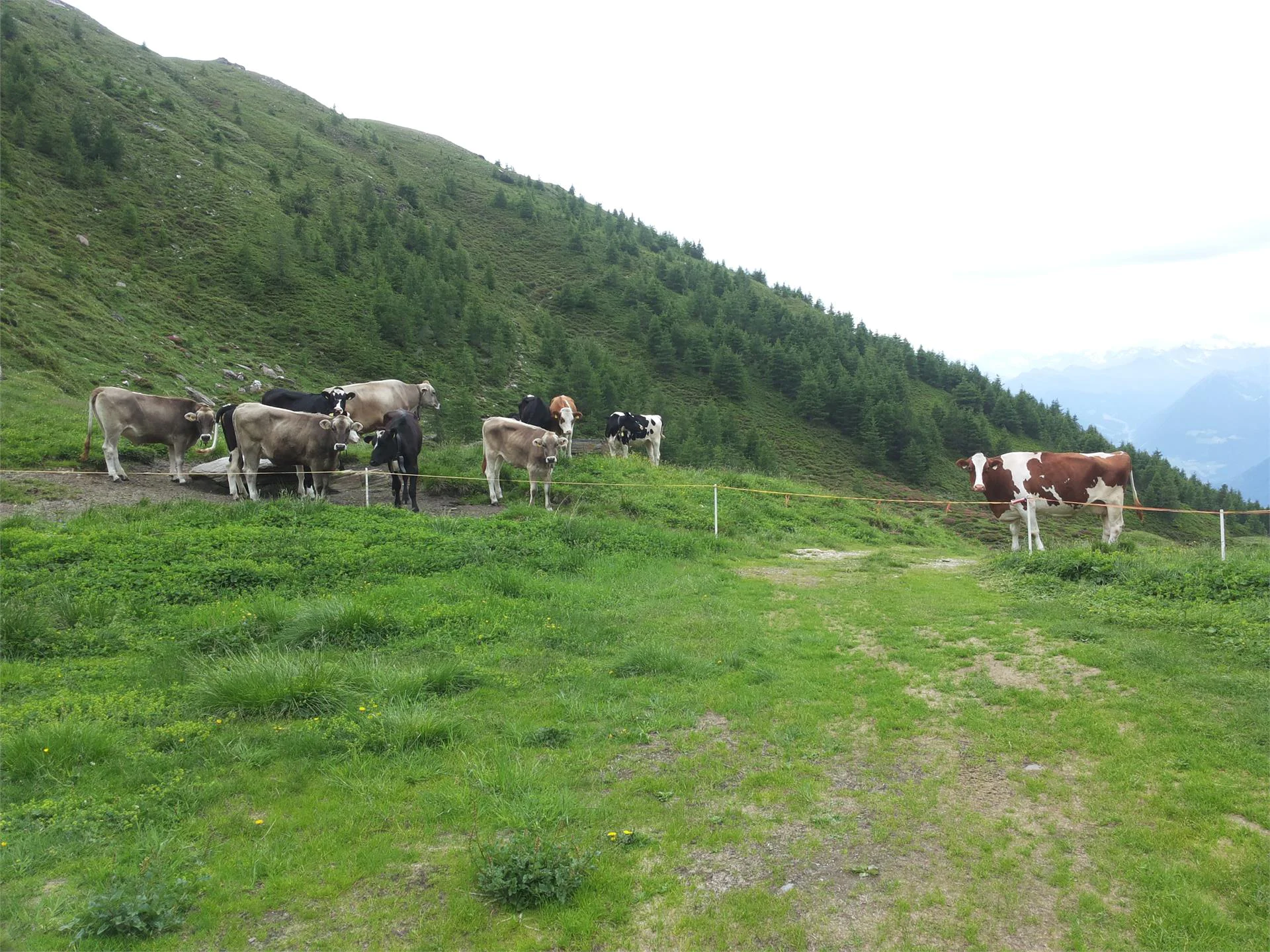 Leitnerhof Val di Vizze 20 suedtirol.info