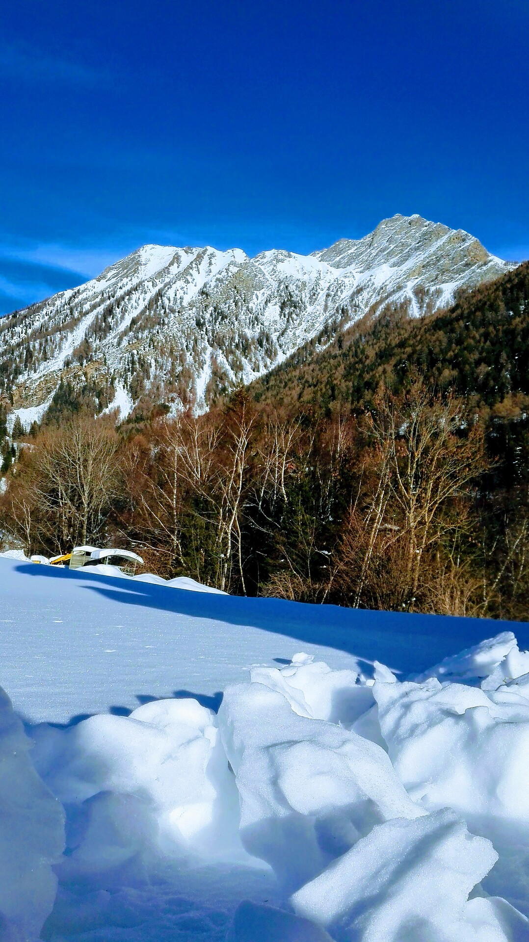 winter