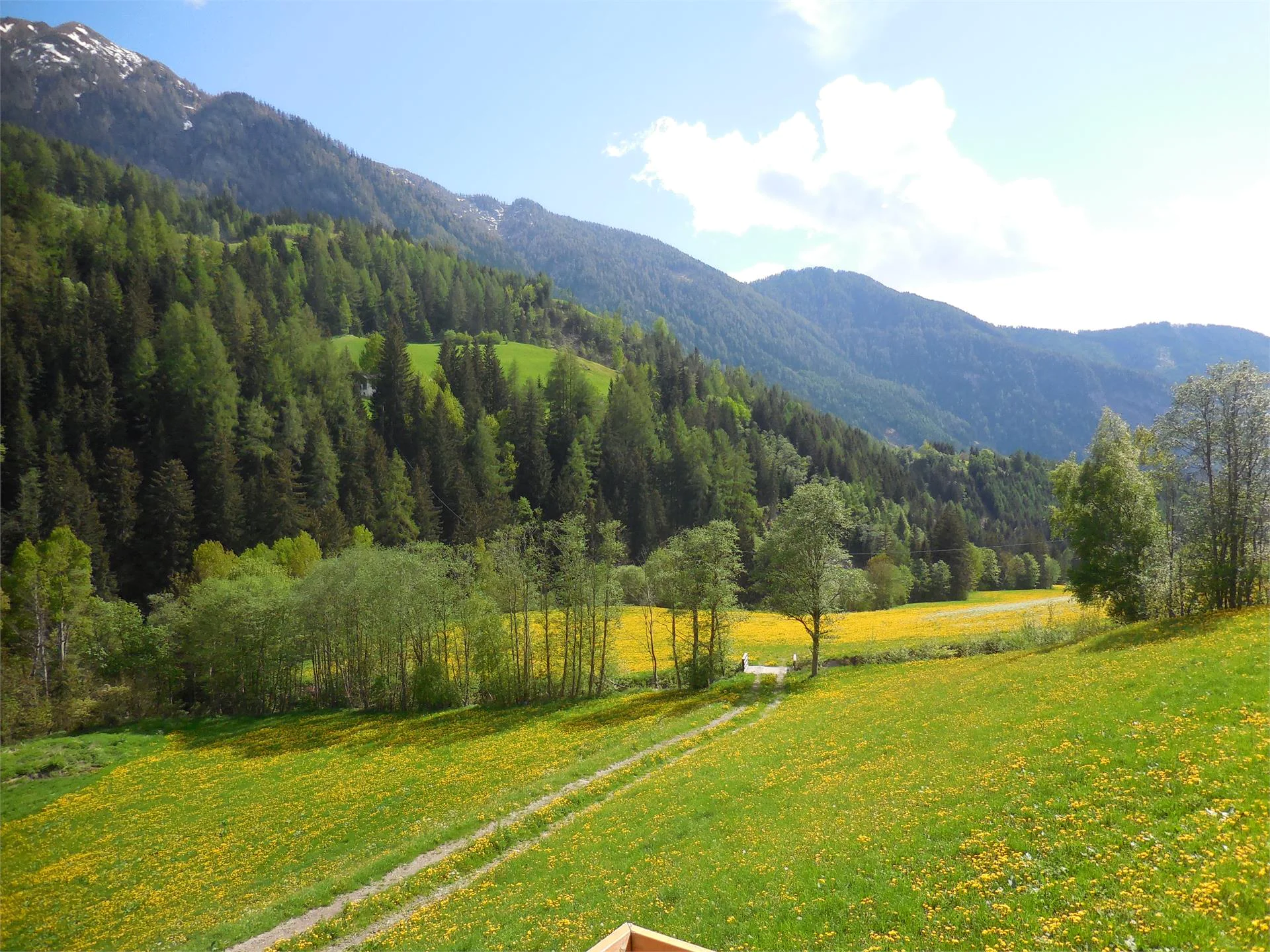 Leitnerhof Val di Vizze 19 suedtirol.info