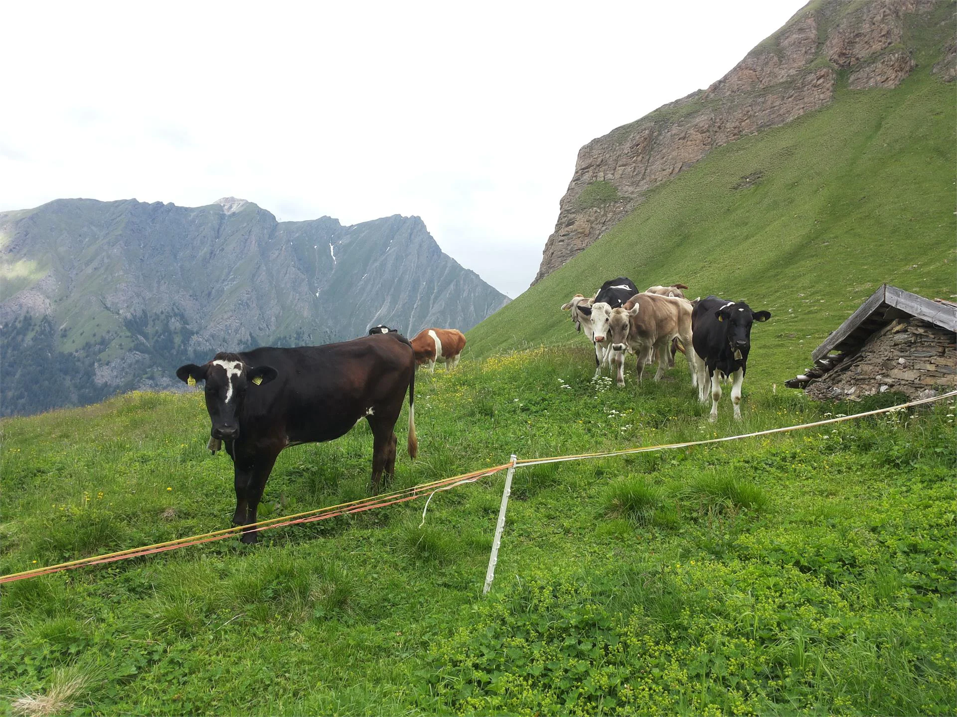 Leitnerhof Val di Vizze 18 suedtirol.info
