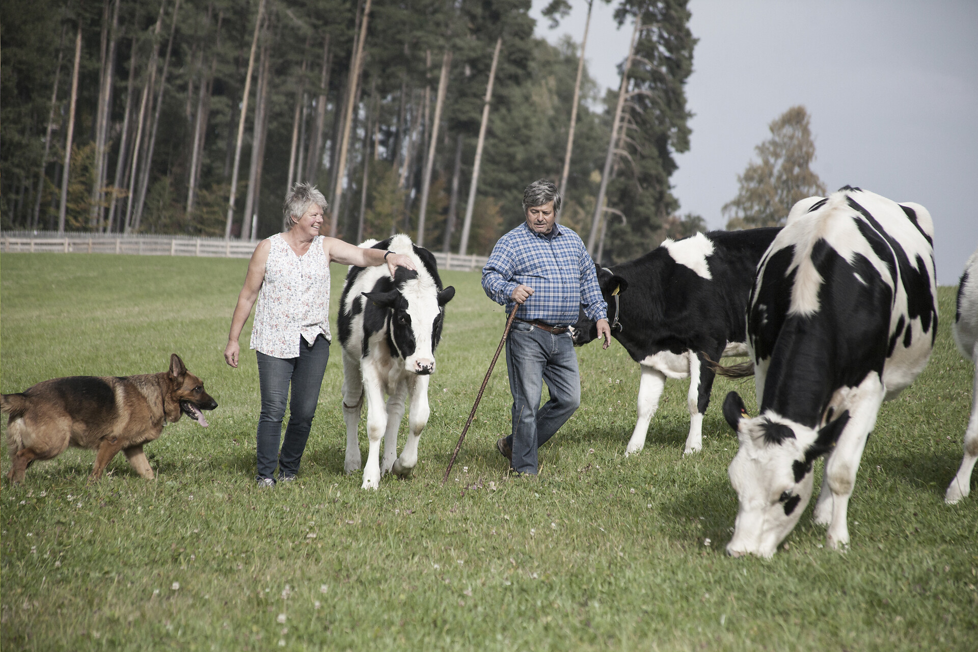 Benessere animale