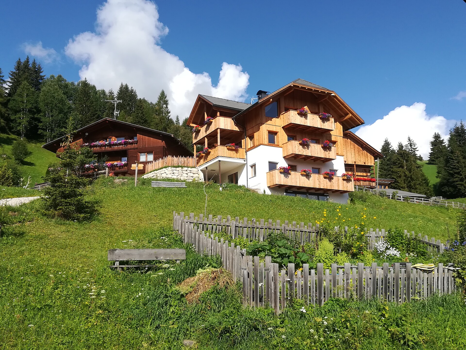 Lüch Picedac