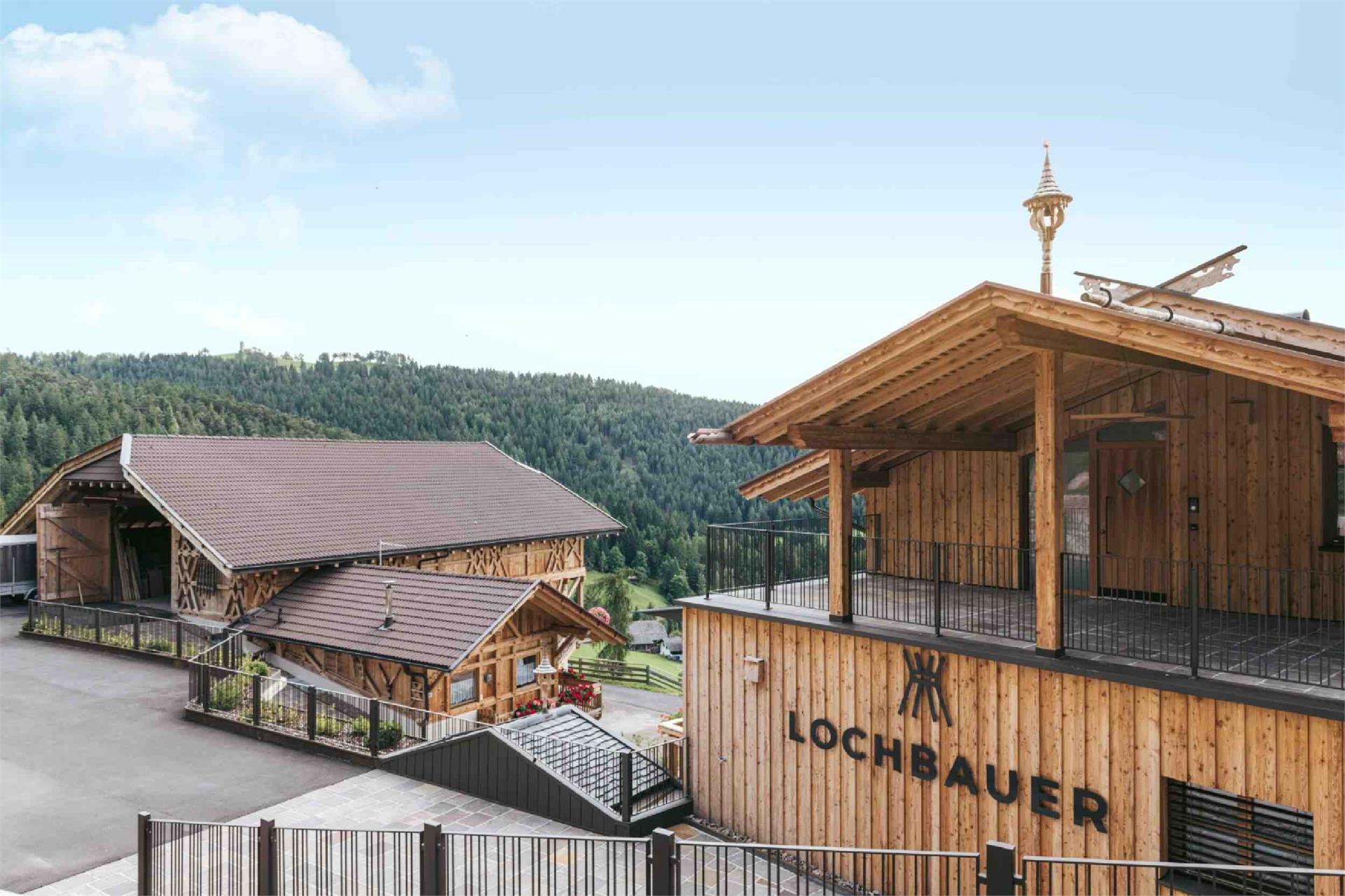 Maso Lochbauer Meltina 9 suedtirol.info