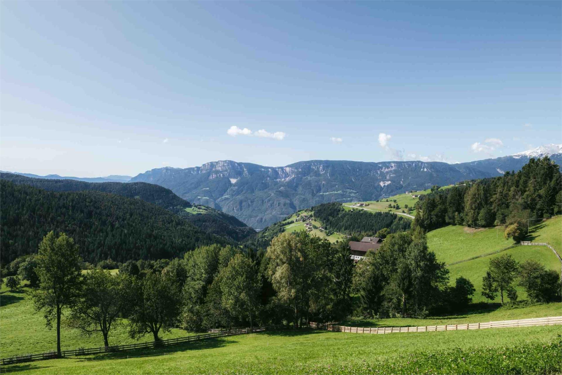 Maso Lochbauer Meltina 3 suedtirol.info