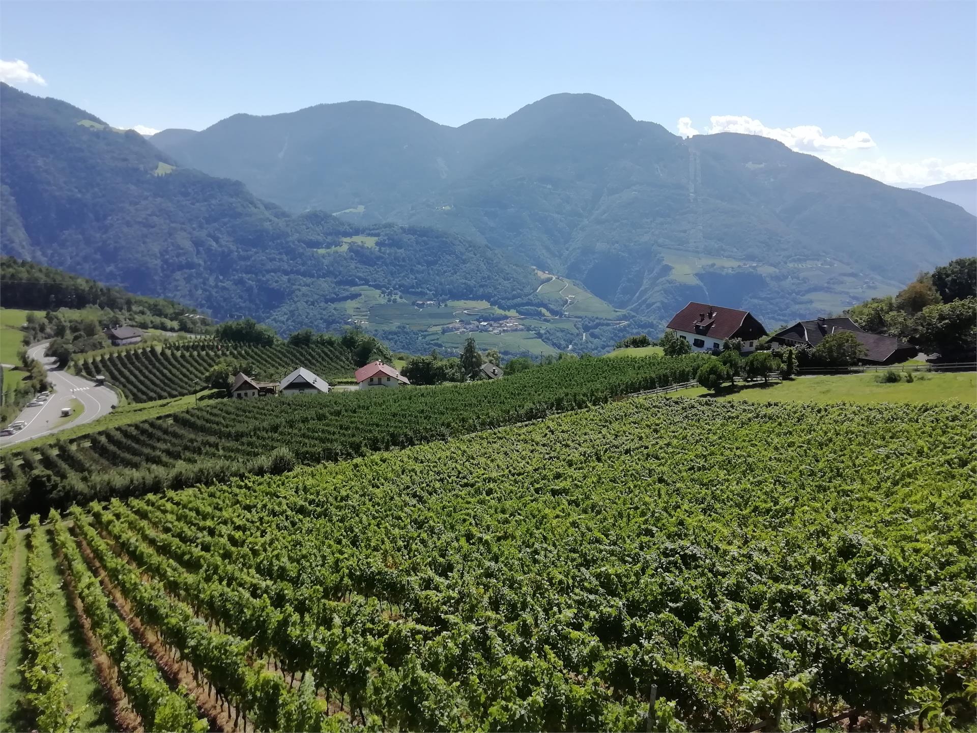 Löchlerhof Ritten 4 suedtirol.info