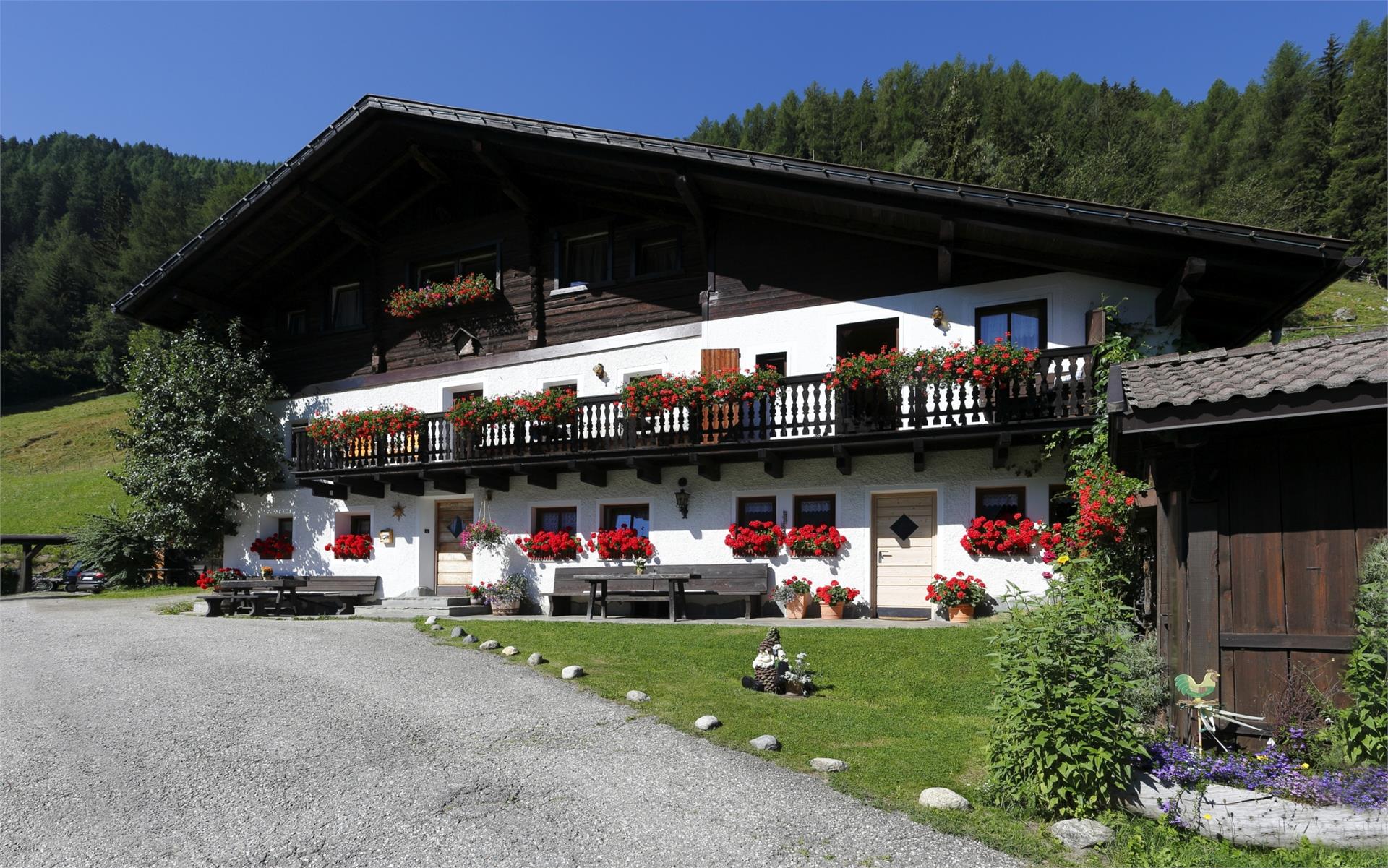 Lechnerhof Ahrntal 2 suedtirol.info