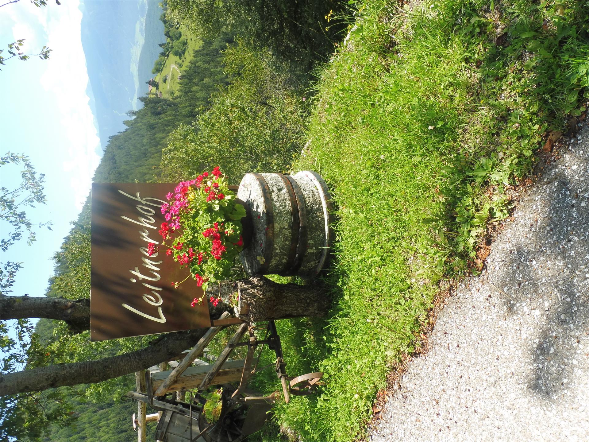 Leitnerhof Terenten 14 suedtirol.info
