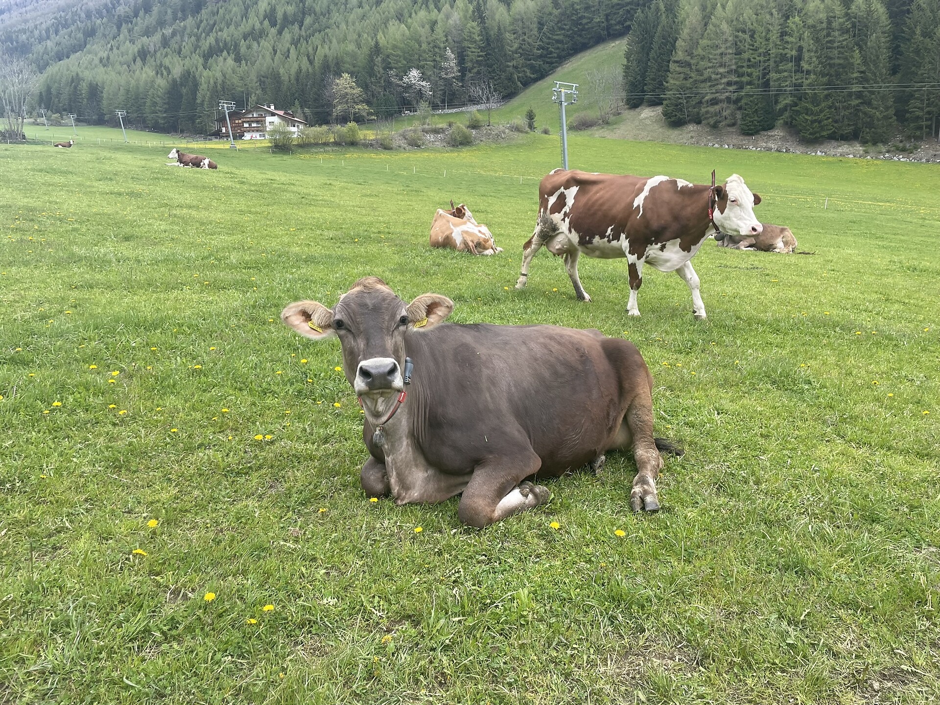 Lechnerhof