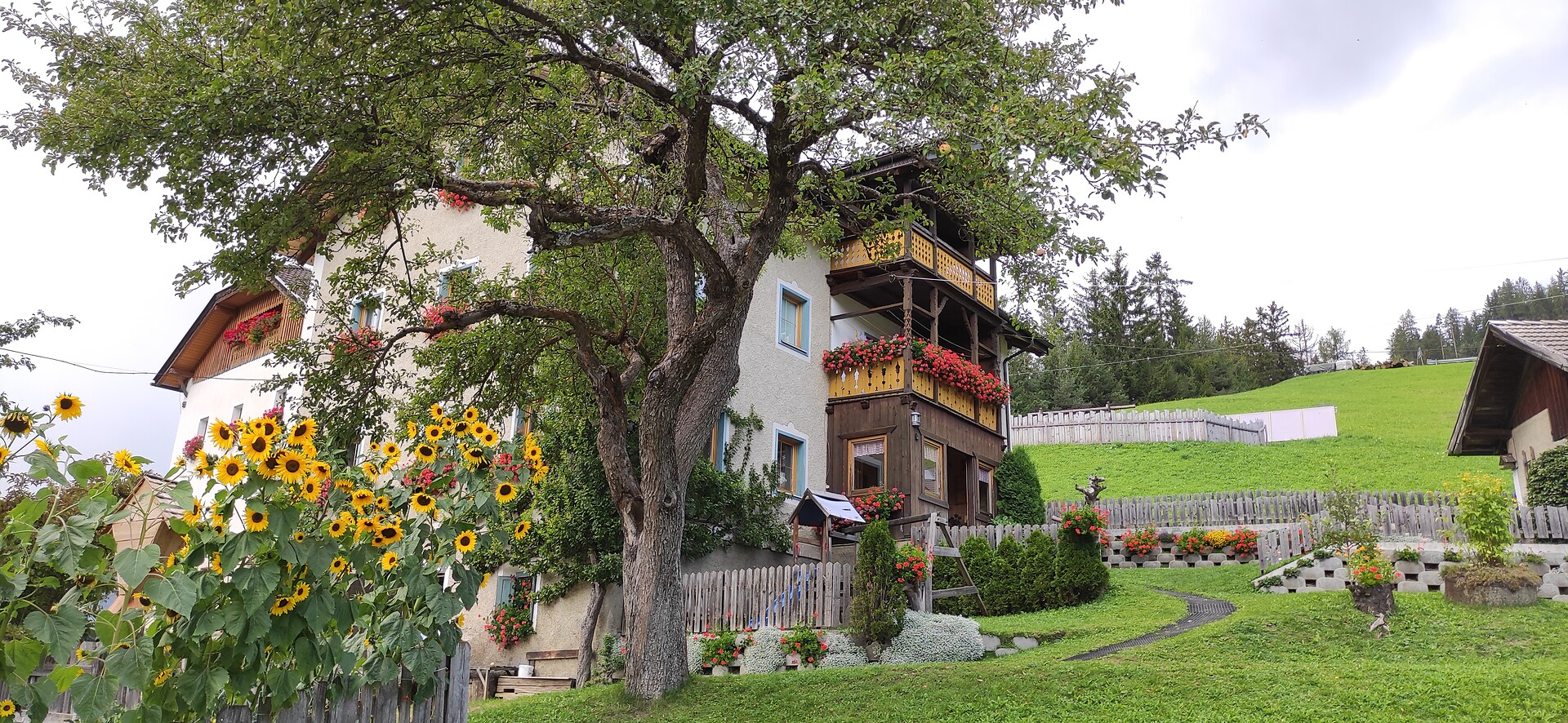 Lüch de Anvi San Martin 1 suedtirol.info