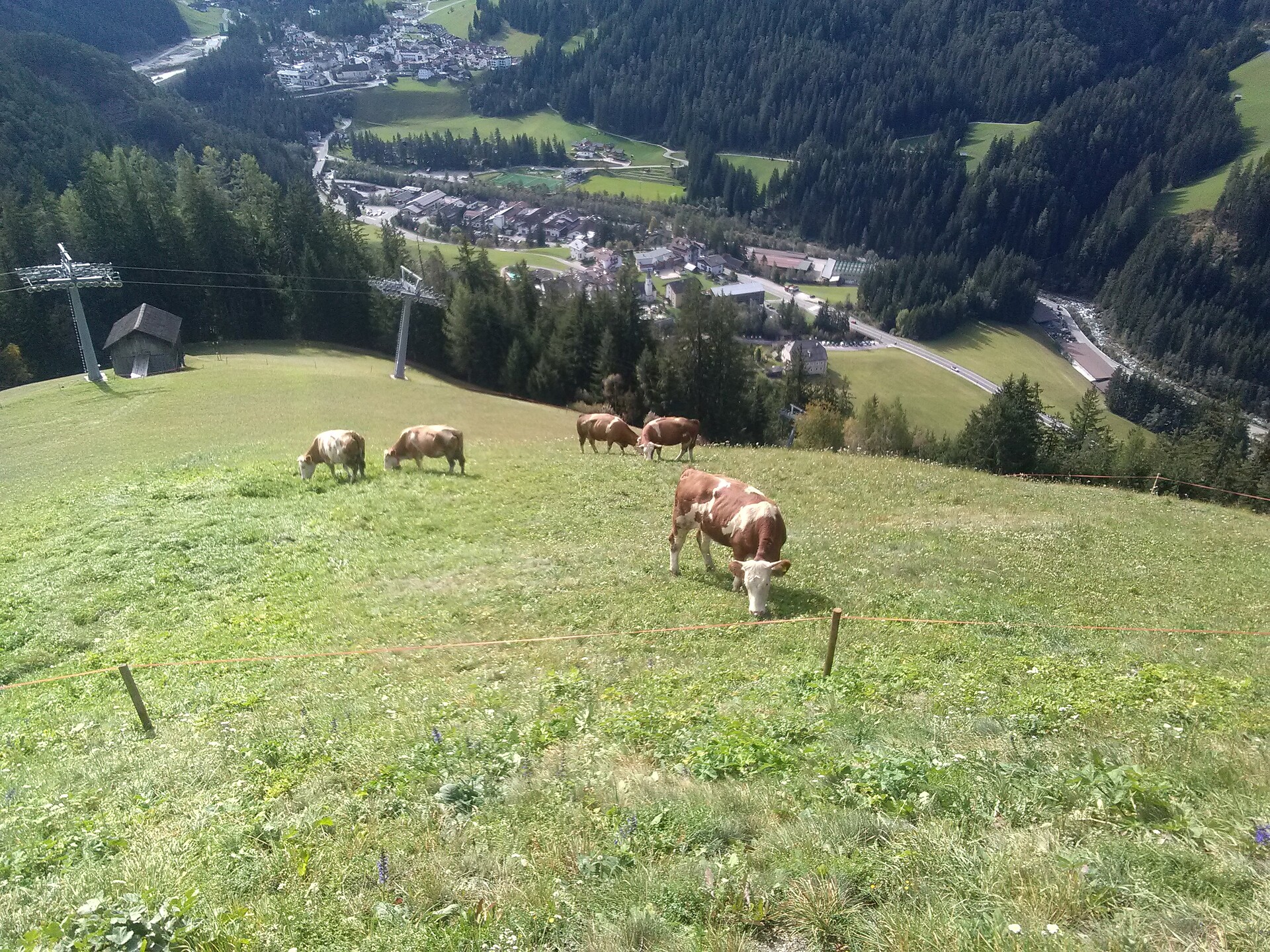 Lüch de Anvi San Martin 9 suedtirol.info