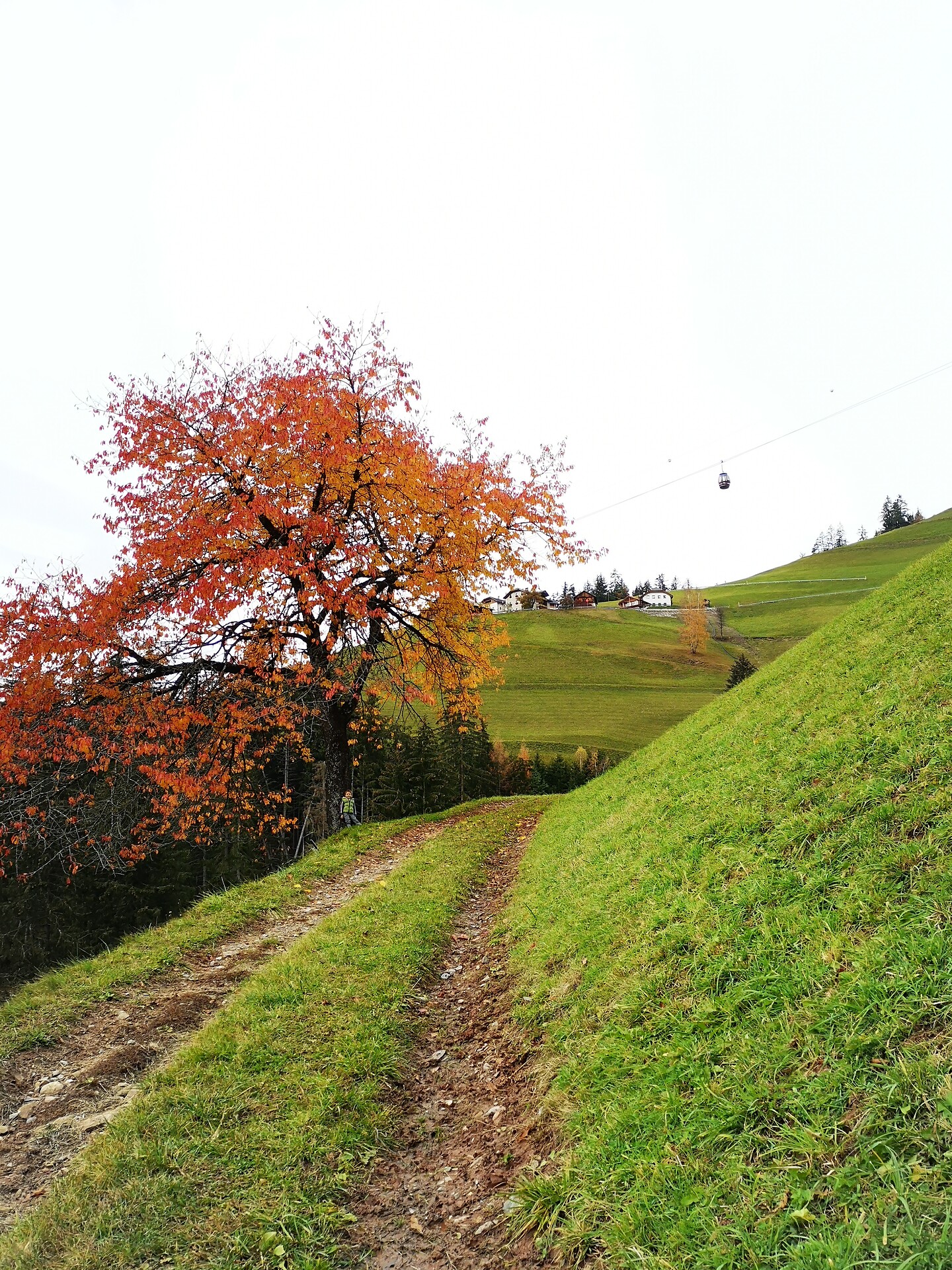 Lüch de Anvi San Martin 10 suedtirol.info
