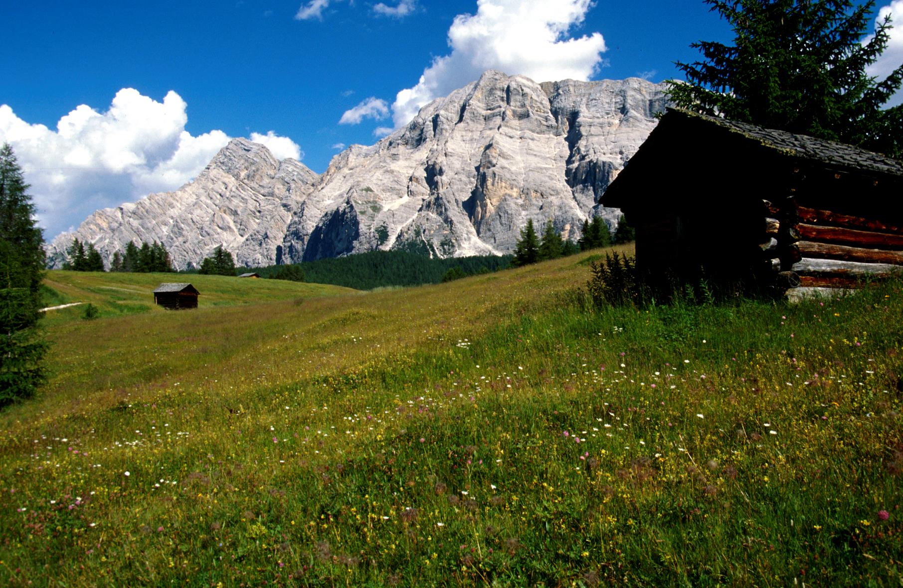 Living Nature Hotel Störes Badia 13 suedtirol.info