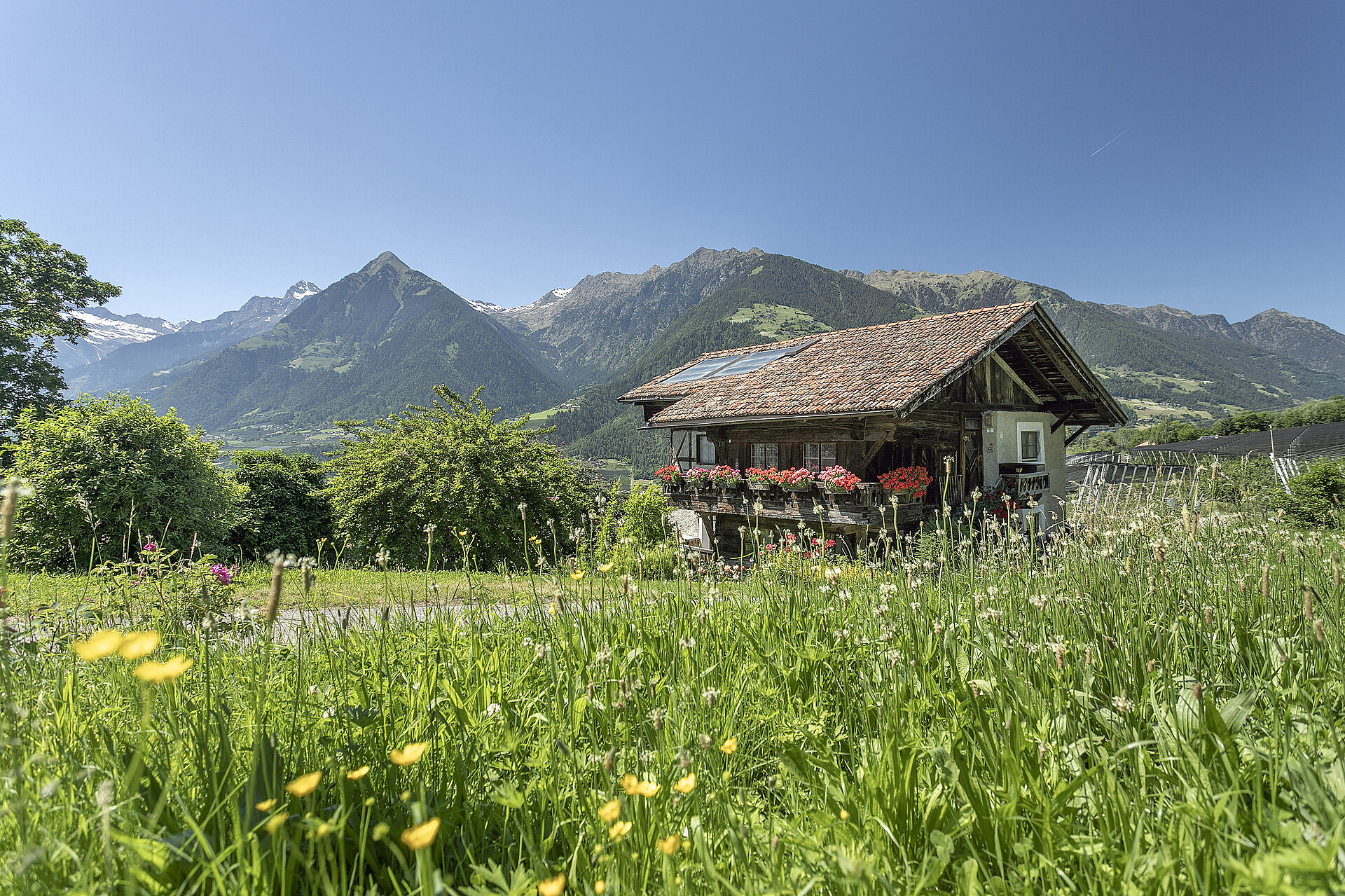 Lothof