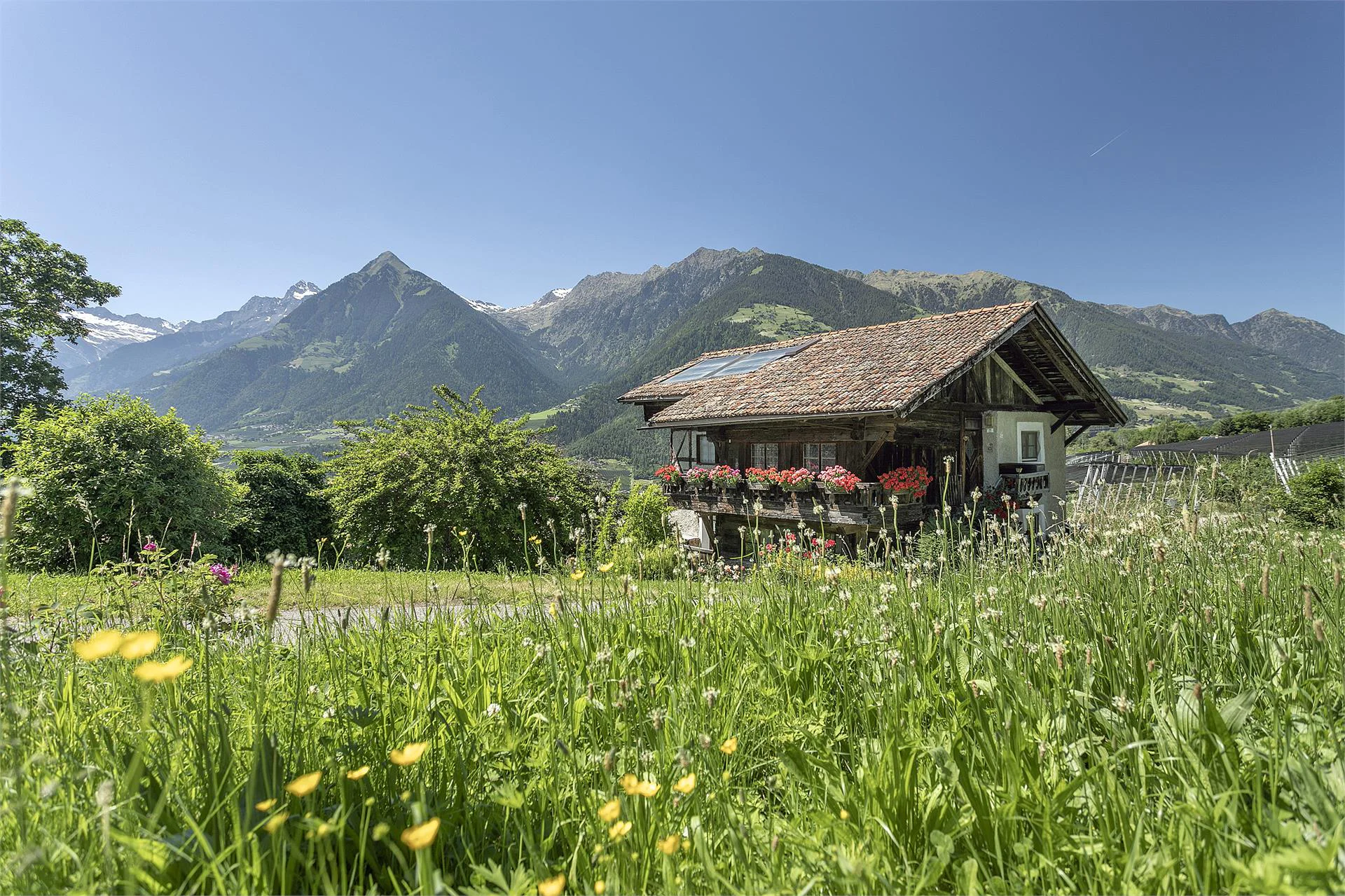 Lothhof Schenna/Scena 3 suedtirol.info