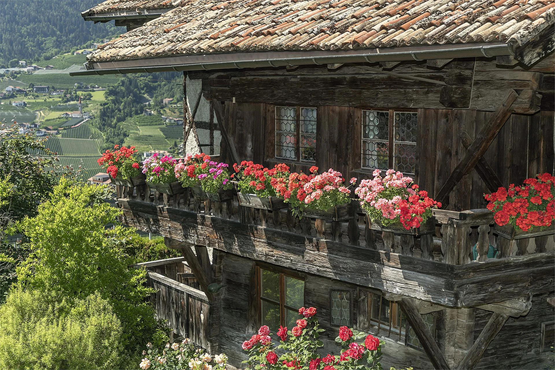 Lothhof Schenna/Scena 5 suedtirol.info