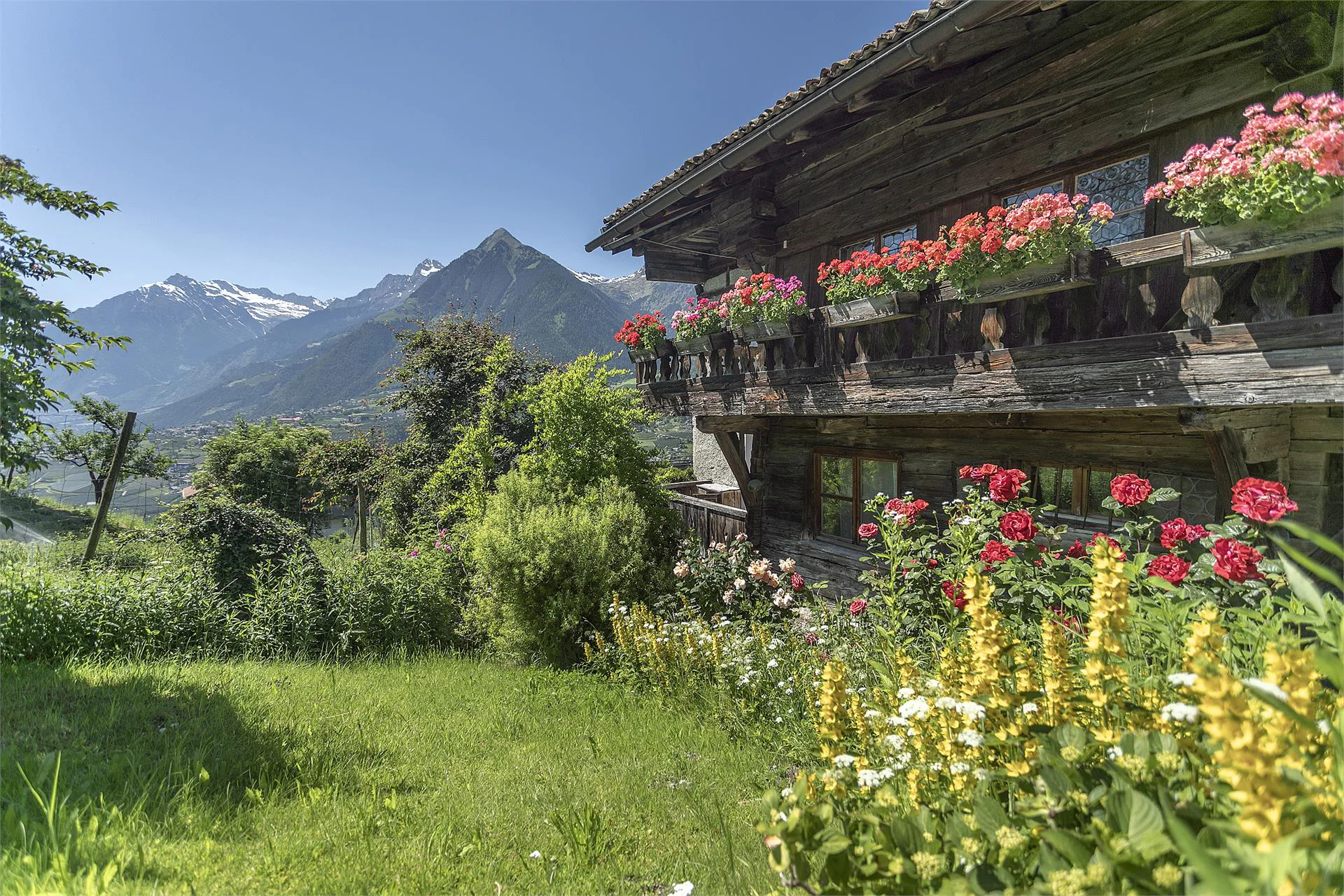 Lothhof Schenna/Scena 4 suedtirol.info