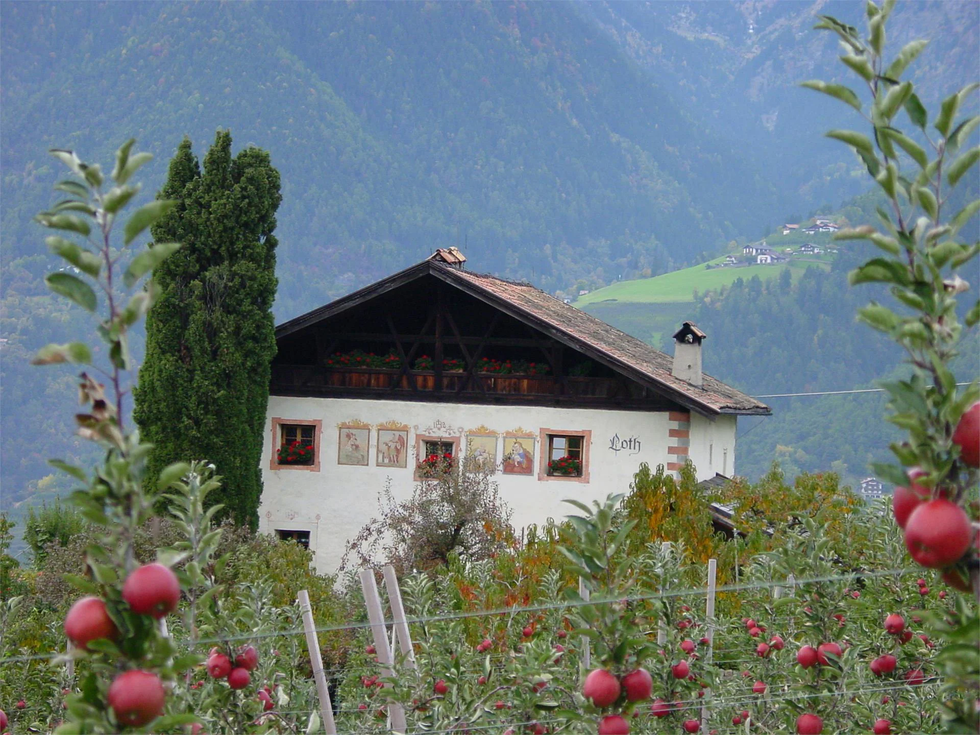 Lothhof Schenna/Scena 1 suedtirol.info