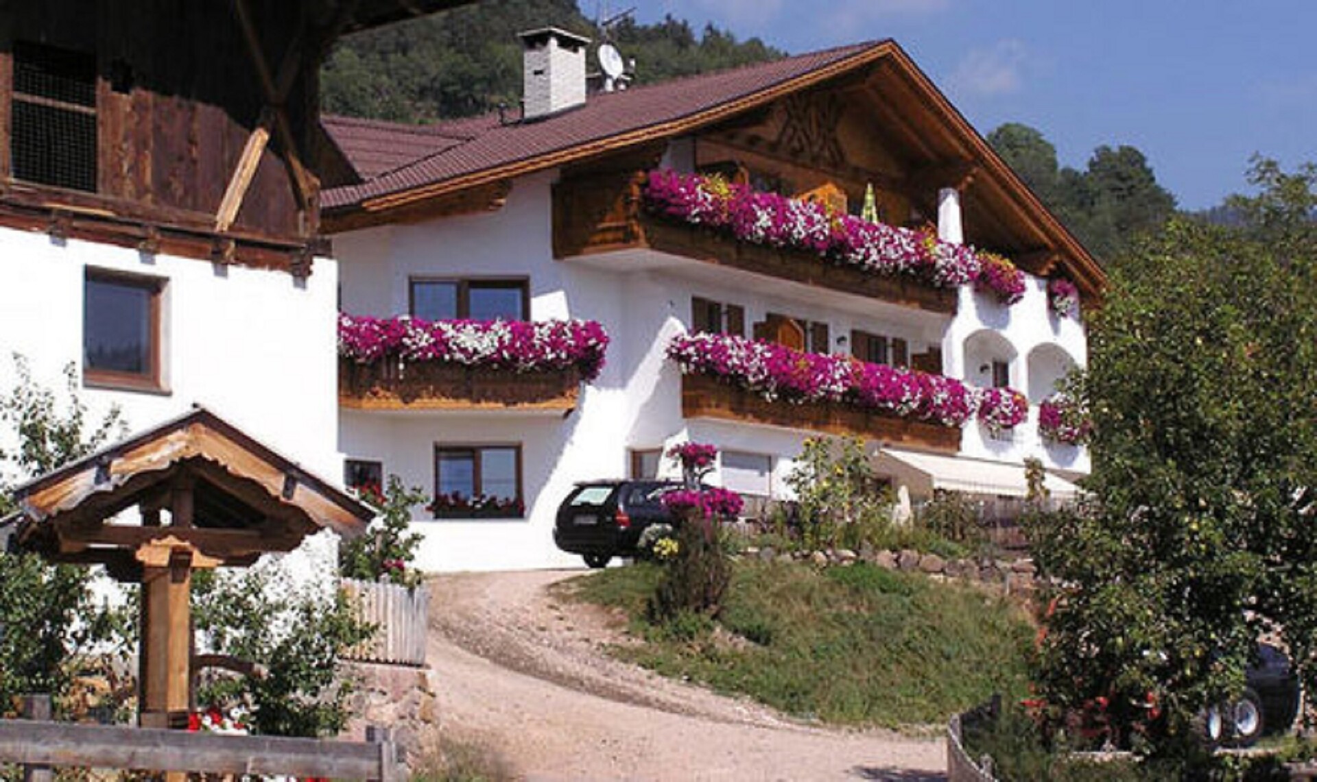 Der Hof
