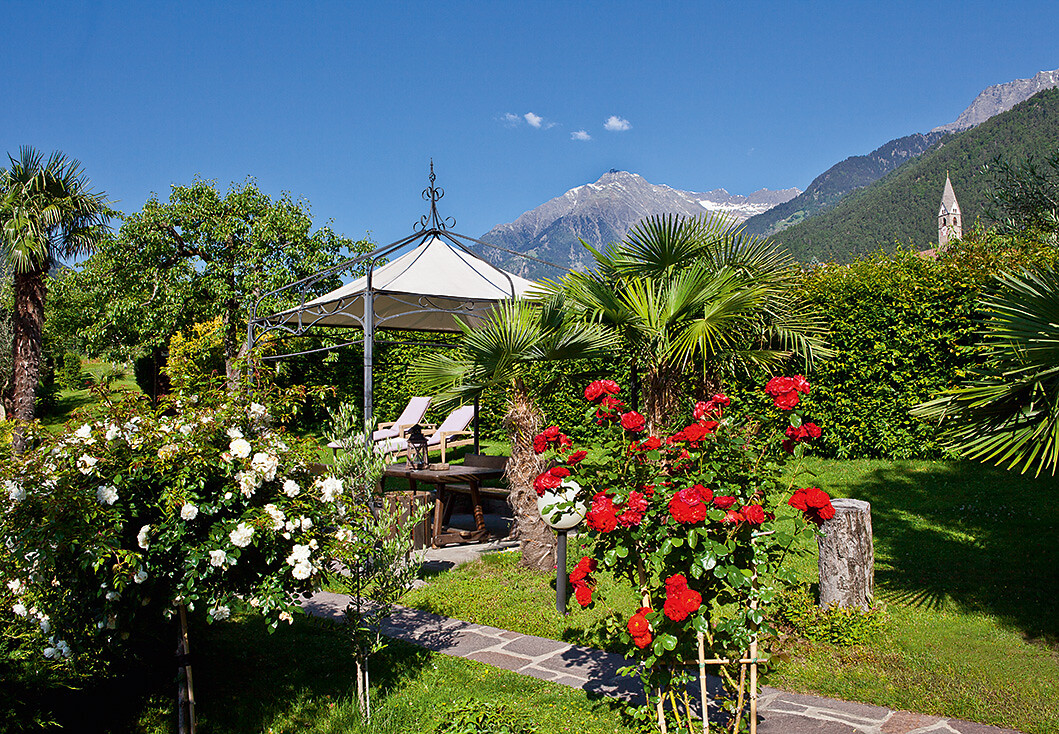 Giardino