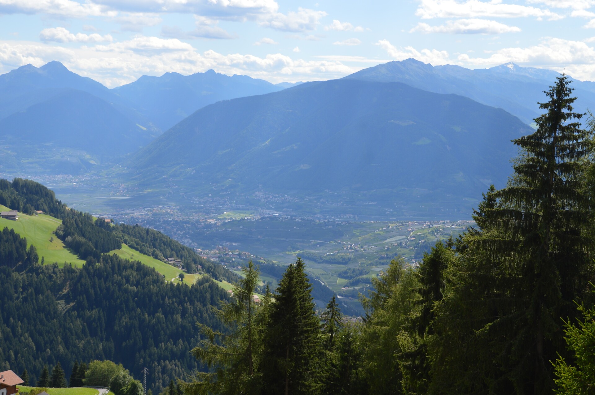 View