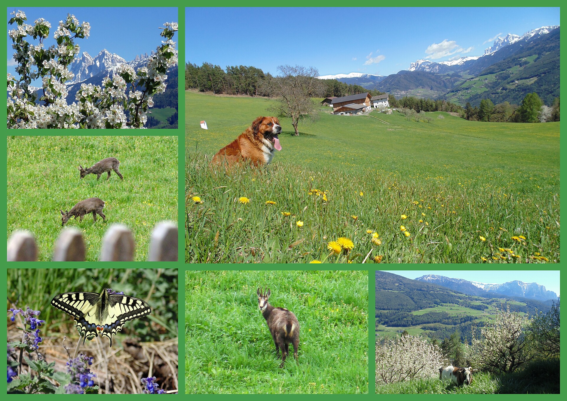 Frühling