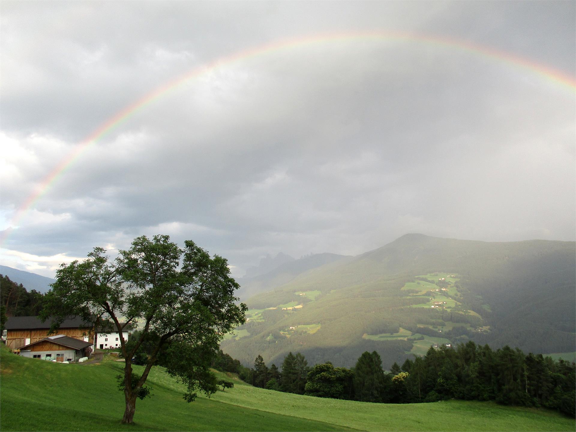 Moar in Ums Klausen/Chiusa 1 suedtirol.info