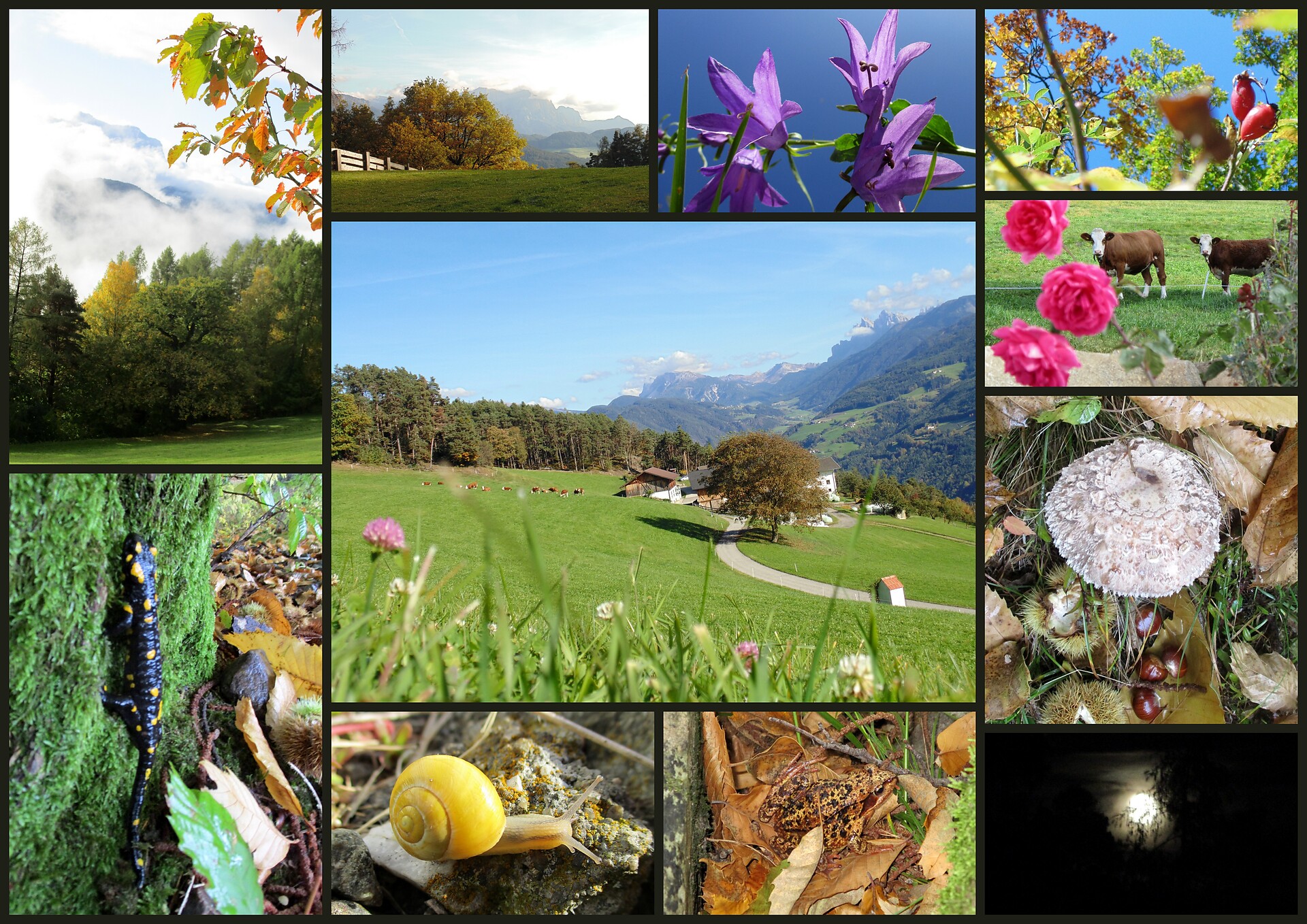 Herbst