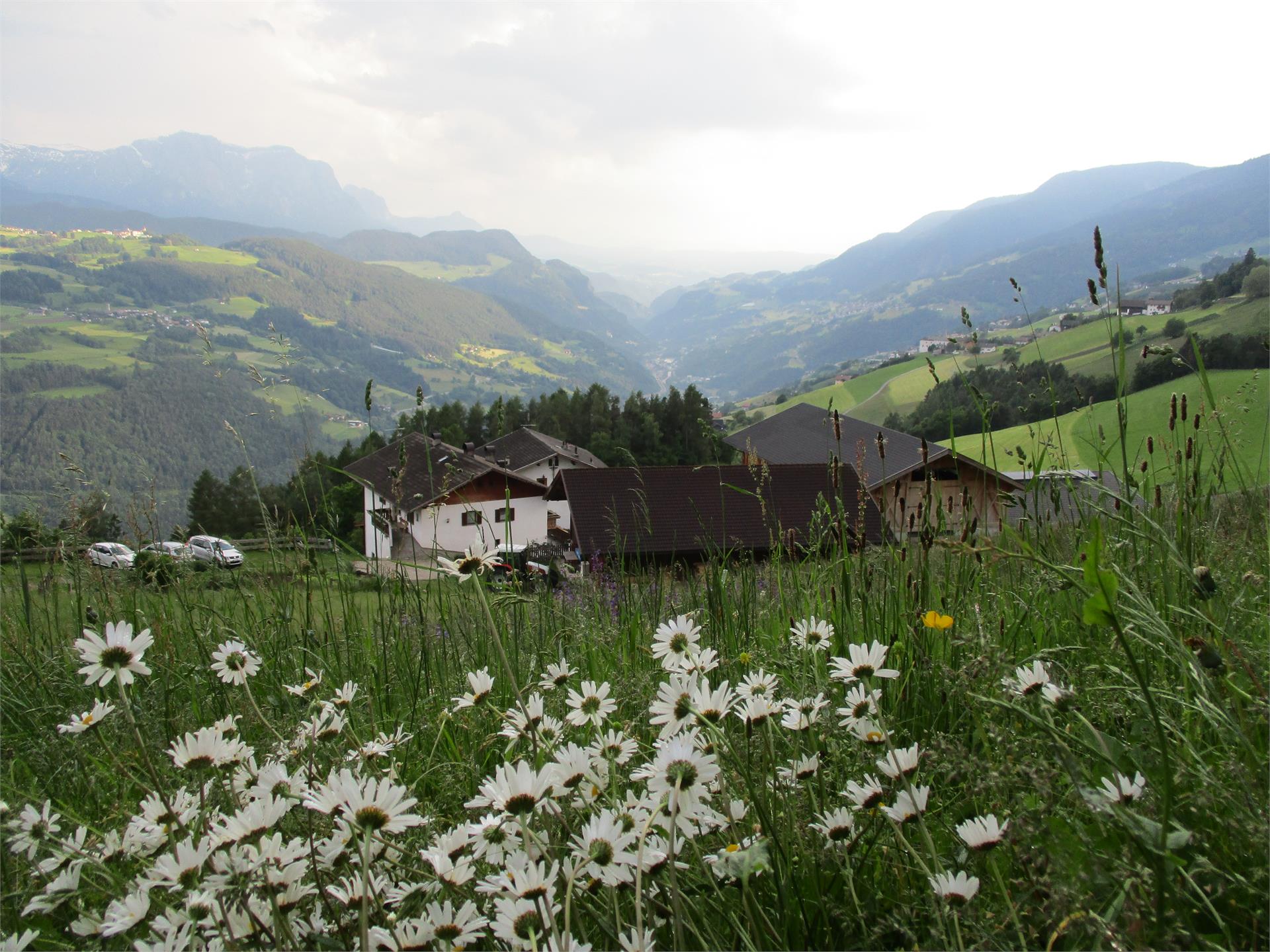 Moar in Ums Klausen/Chiusa 2 suedtirol.info