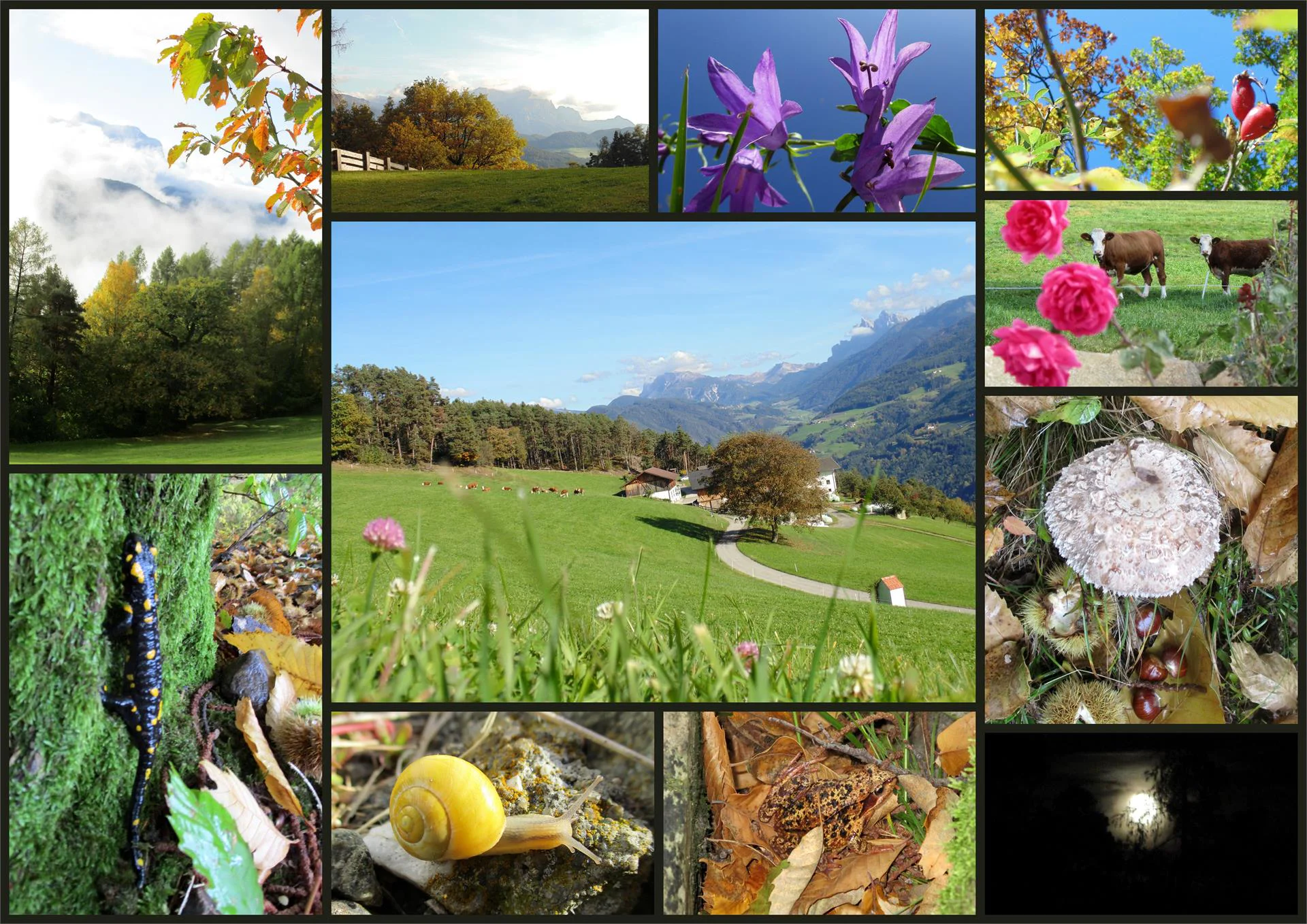 Moar in Ums Chiusa 9 suedtirol.info