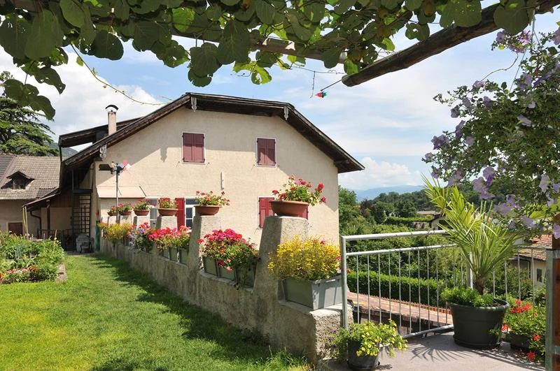 Mühlhöfl Kaltern an der Weinstraße/Caldaro sulla Strada del Vino 5 suedtirol.info