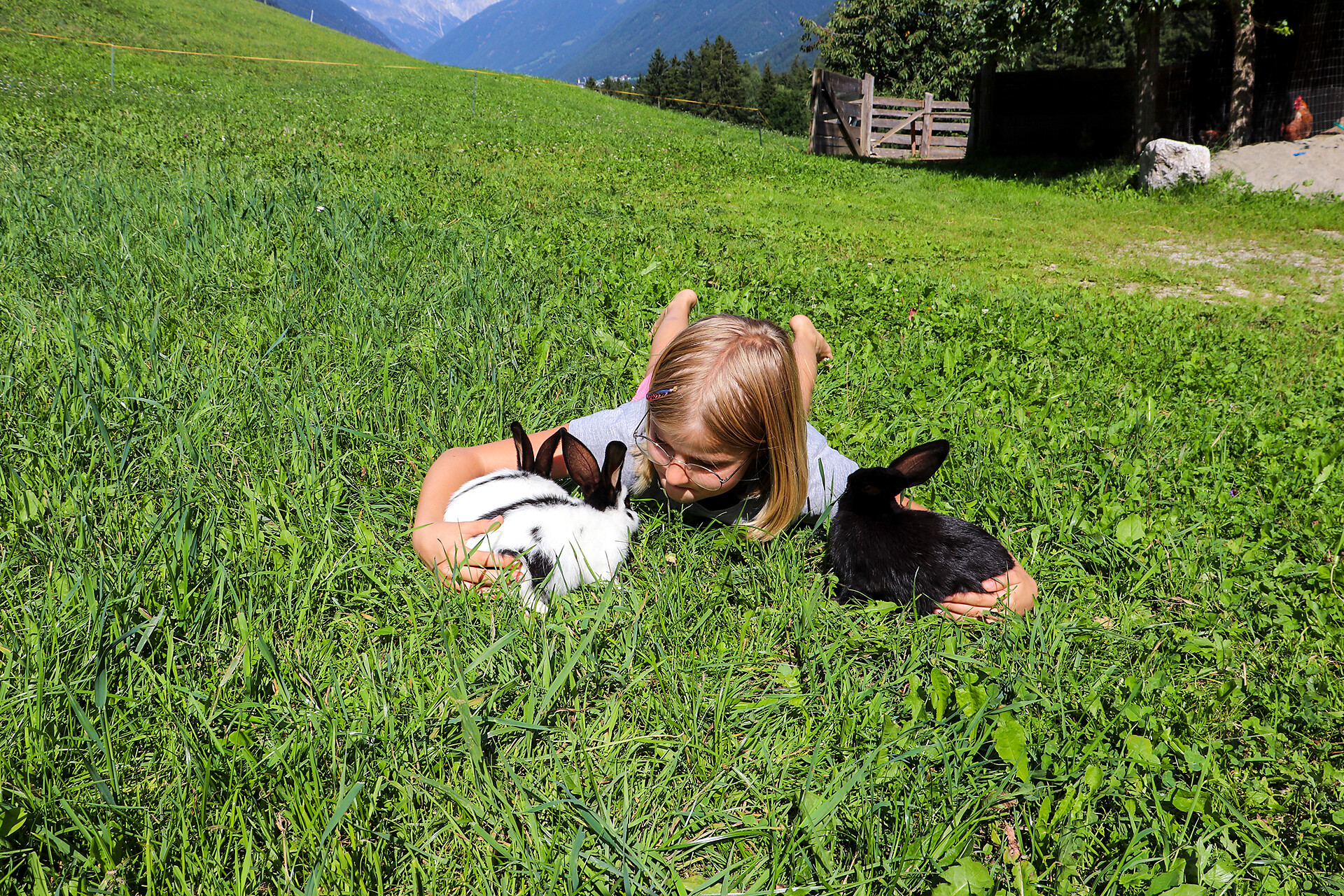 Mittermühlbacherhof - Dolomites Region Kronplatz/Plan de Corones - #14 - suedtirol.info