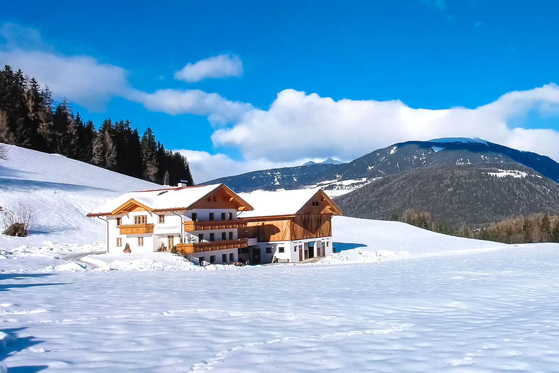 Mittermühlbacherhof - Dolomites Region Kronplatz/Plan de Corones - #16 - suedtirol.info