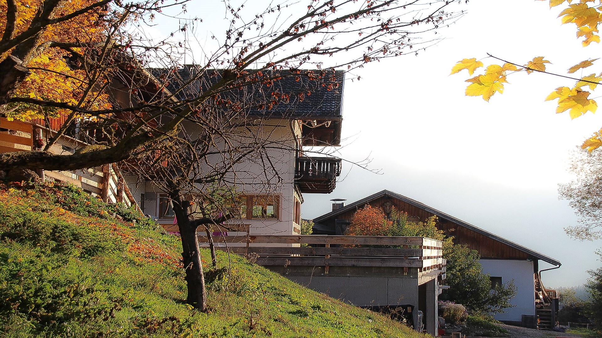 Mösslhof Appartements - Dolomitenregion 3 Zinnen - #5 - suedtirol.info