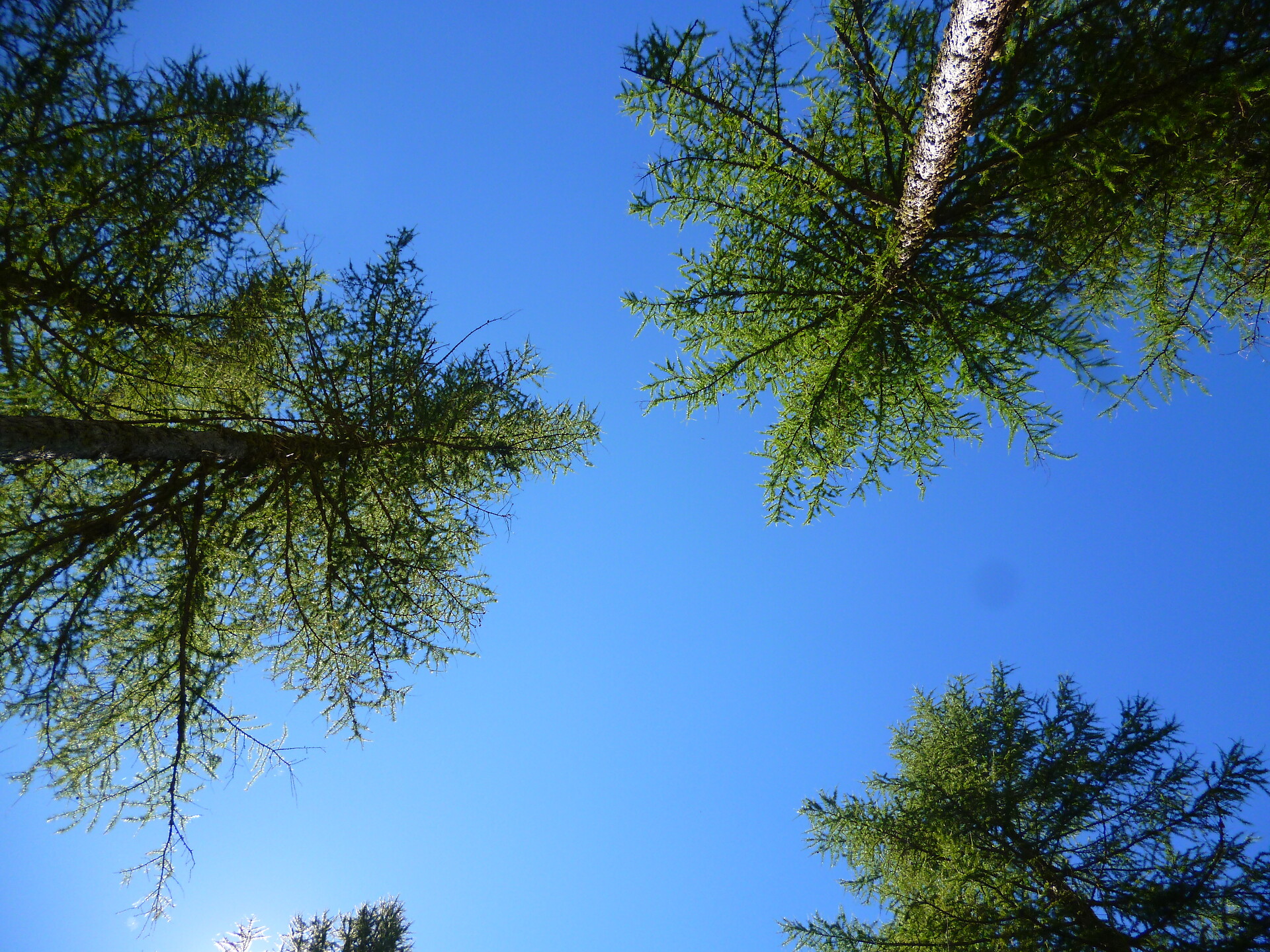 Mayrhof Sommer
