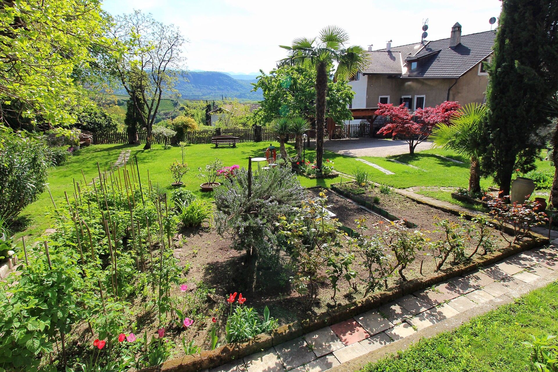 Giardino 6